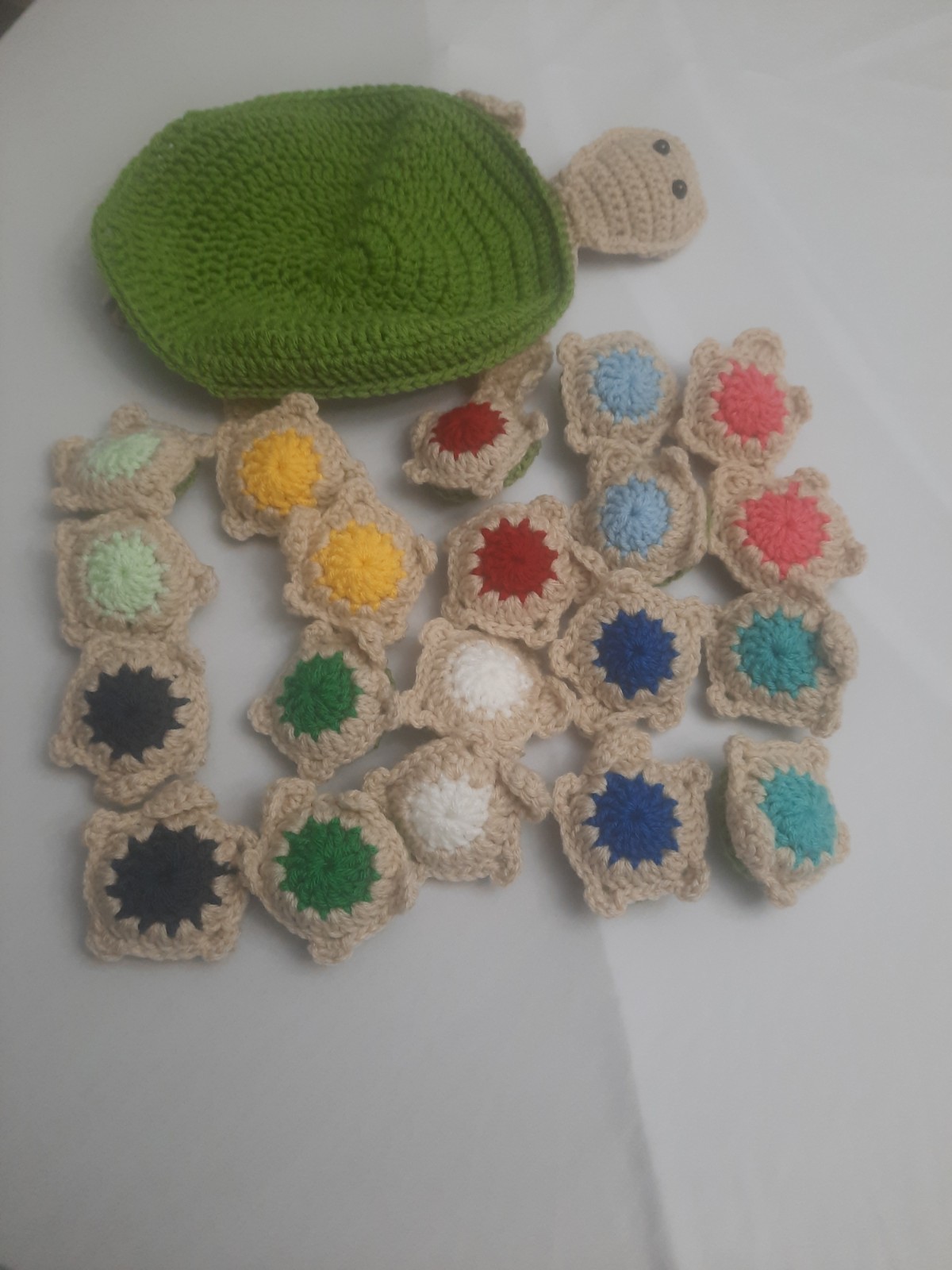 Handmade Turtle Memory Game