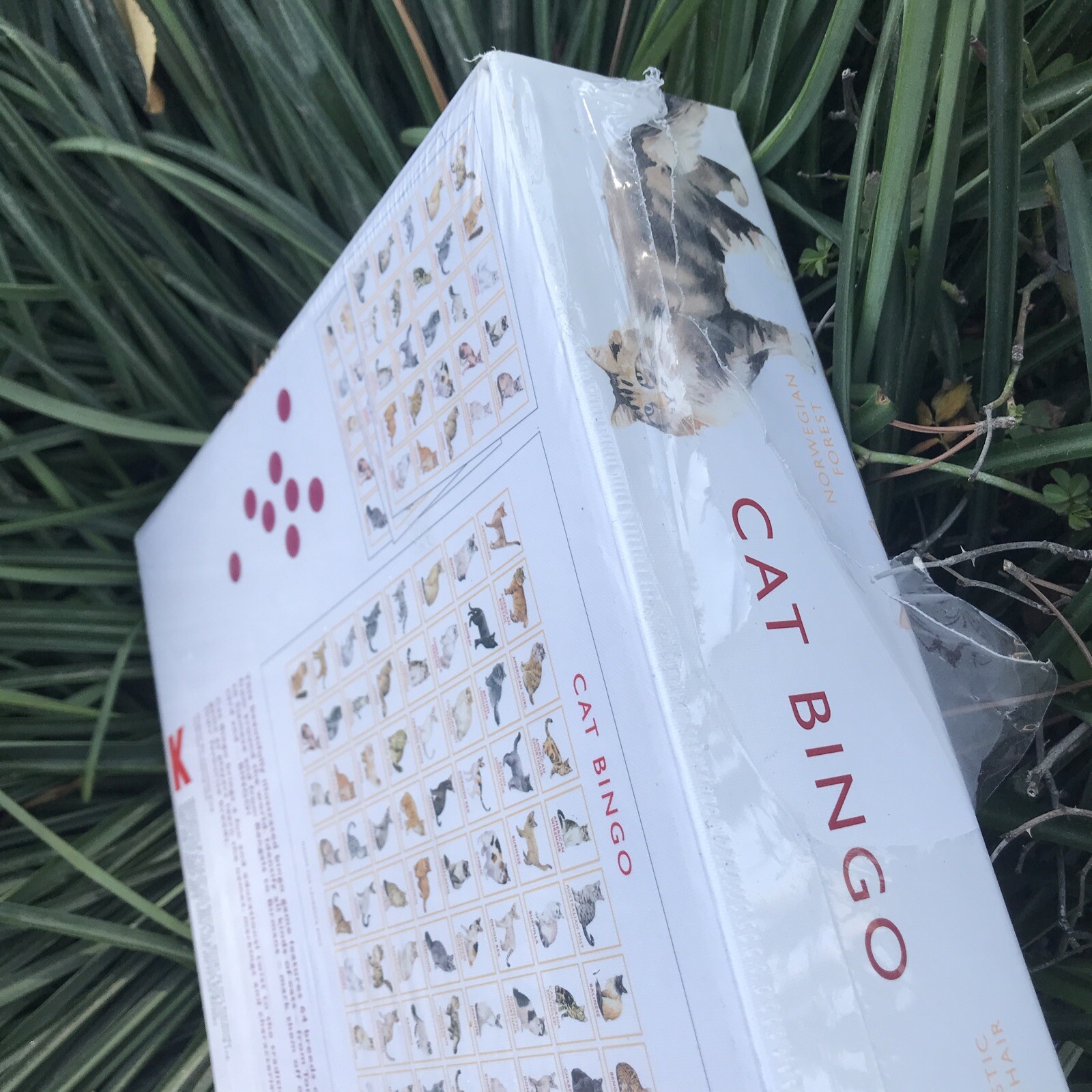 Cat Bingo by Marcel George Cat 64 Breeds Board Game Tonkinese Siamese Bengal