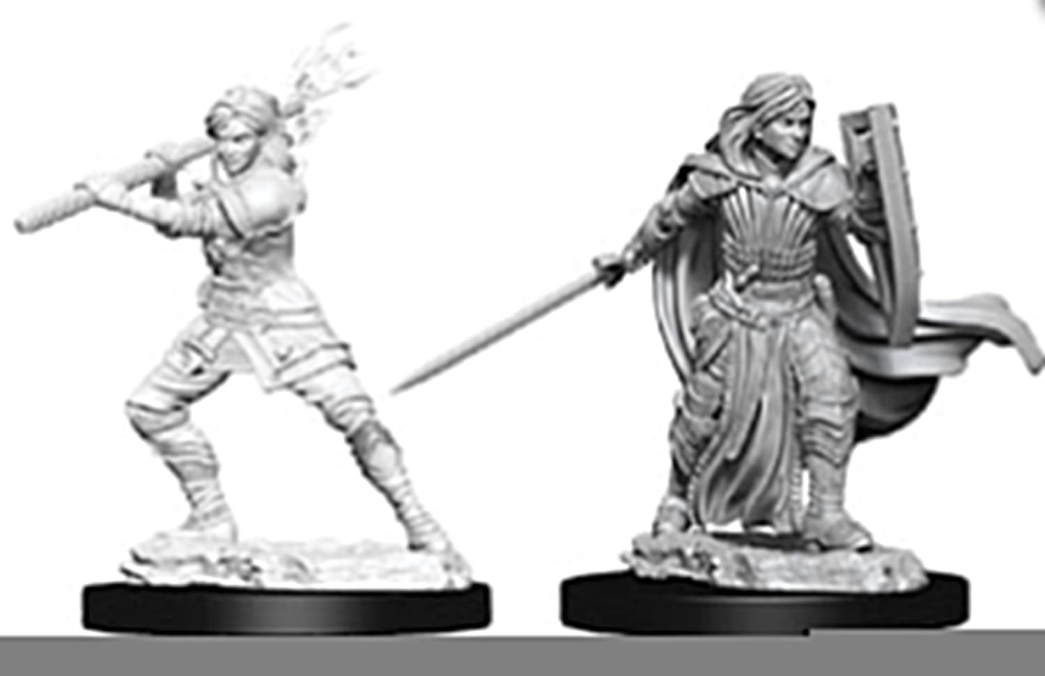 D&D Nolzur’s Marvelous Miniatures: Male Human Druid