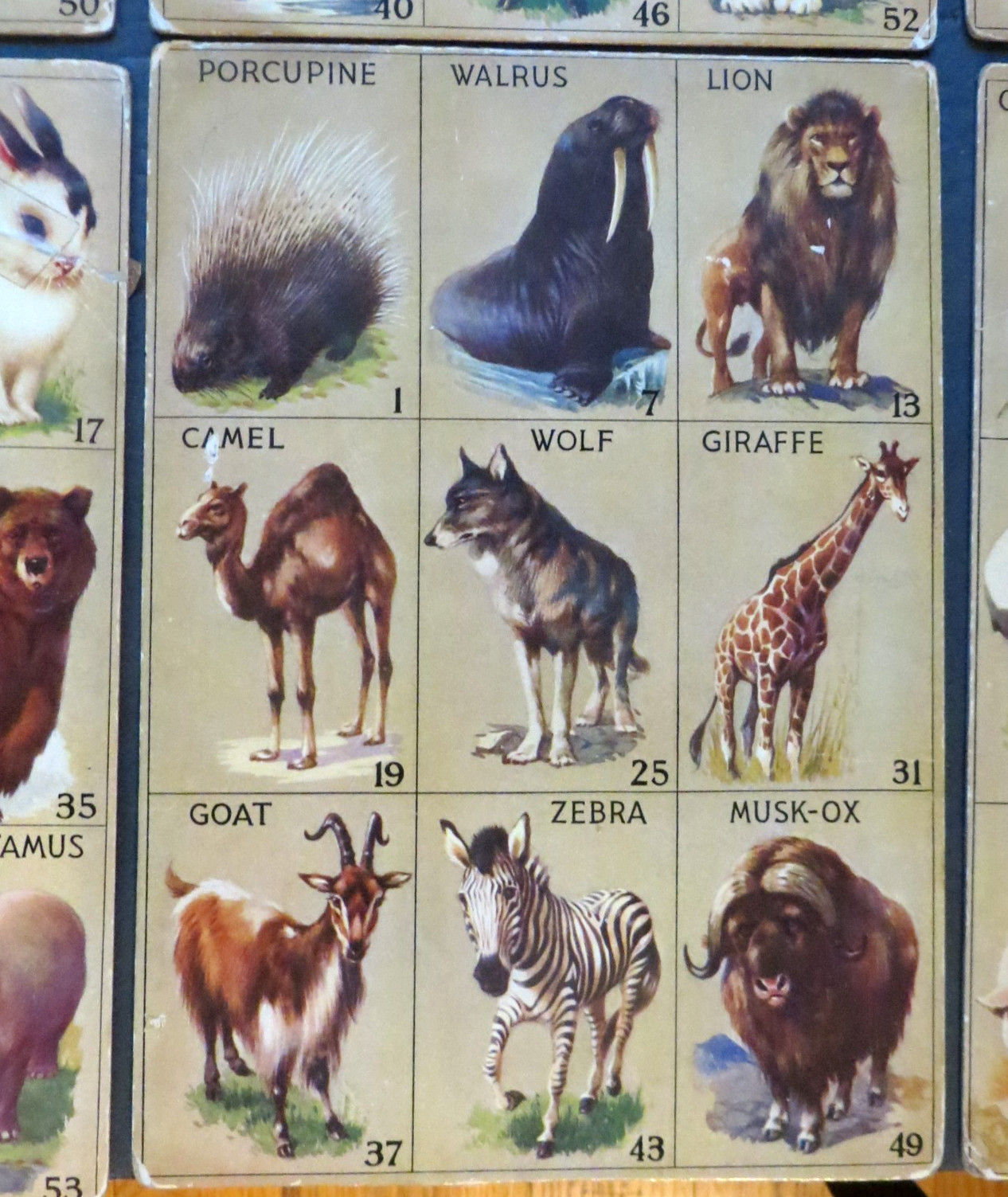 1932 Vintage Animal Lotto Samuel Gabriel & Sons , NY 6 Boards Only