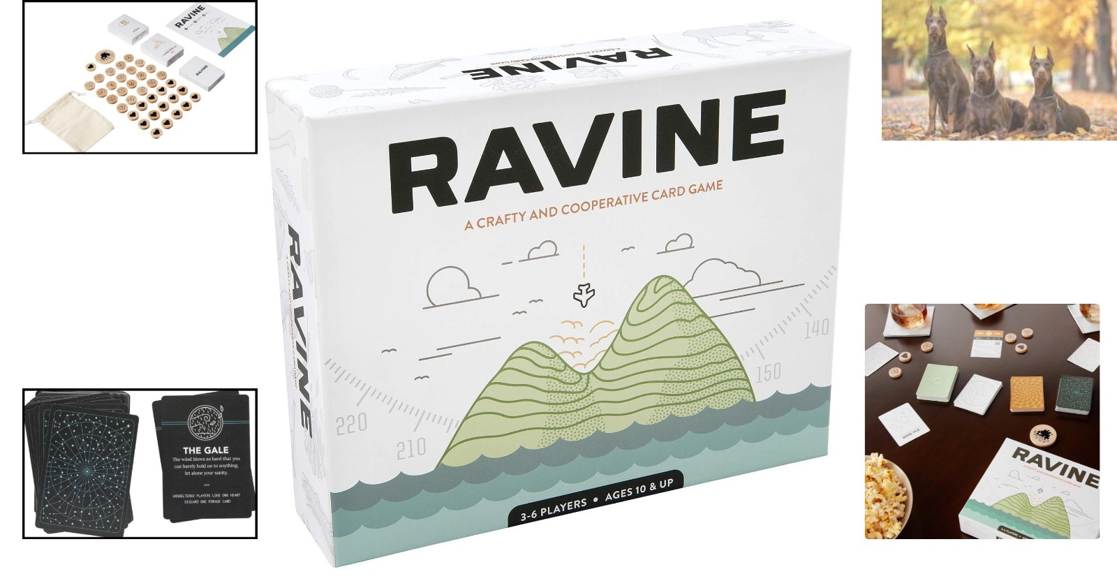 Ravine Card Game – Easy to Learn Cooperative Survival Adventure for Ages 12+