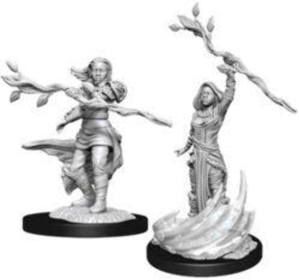 D&D Nolzur’s Marvelous Miniatures: Male Human Druid