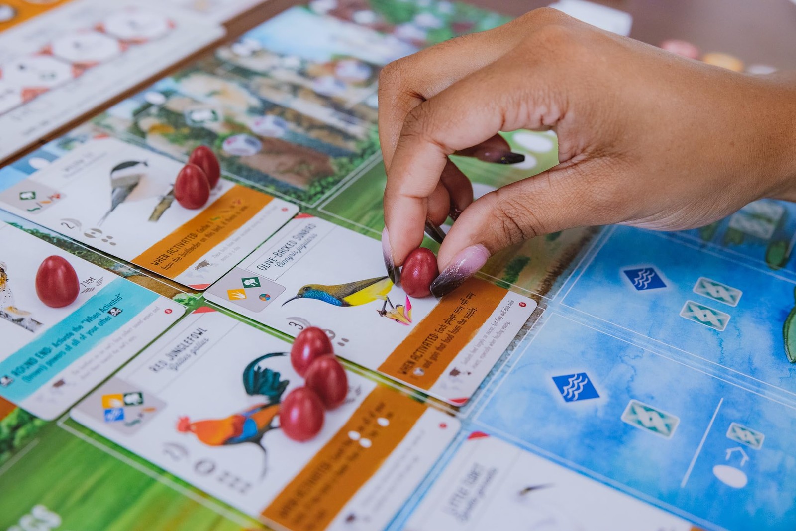 Wingspan Asia Board Game Bird Collecting Solo and Duet Mode Expansion 80 Char…