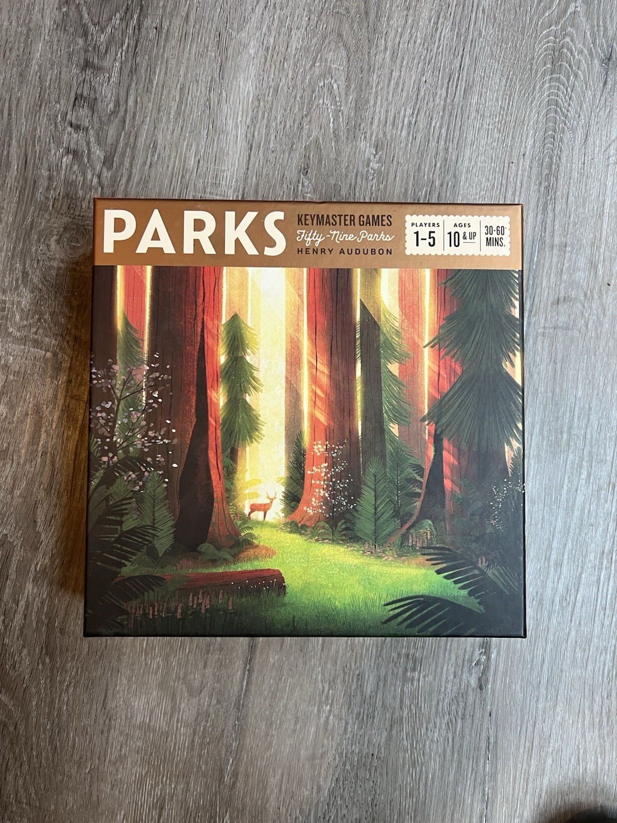 PARKS Board Game In Great Condition