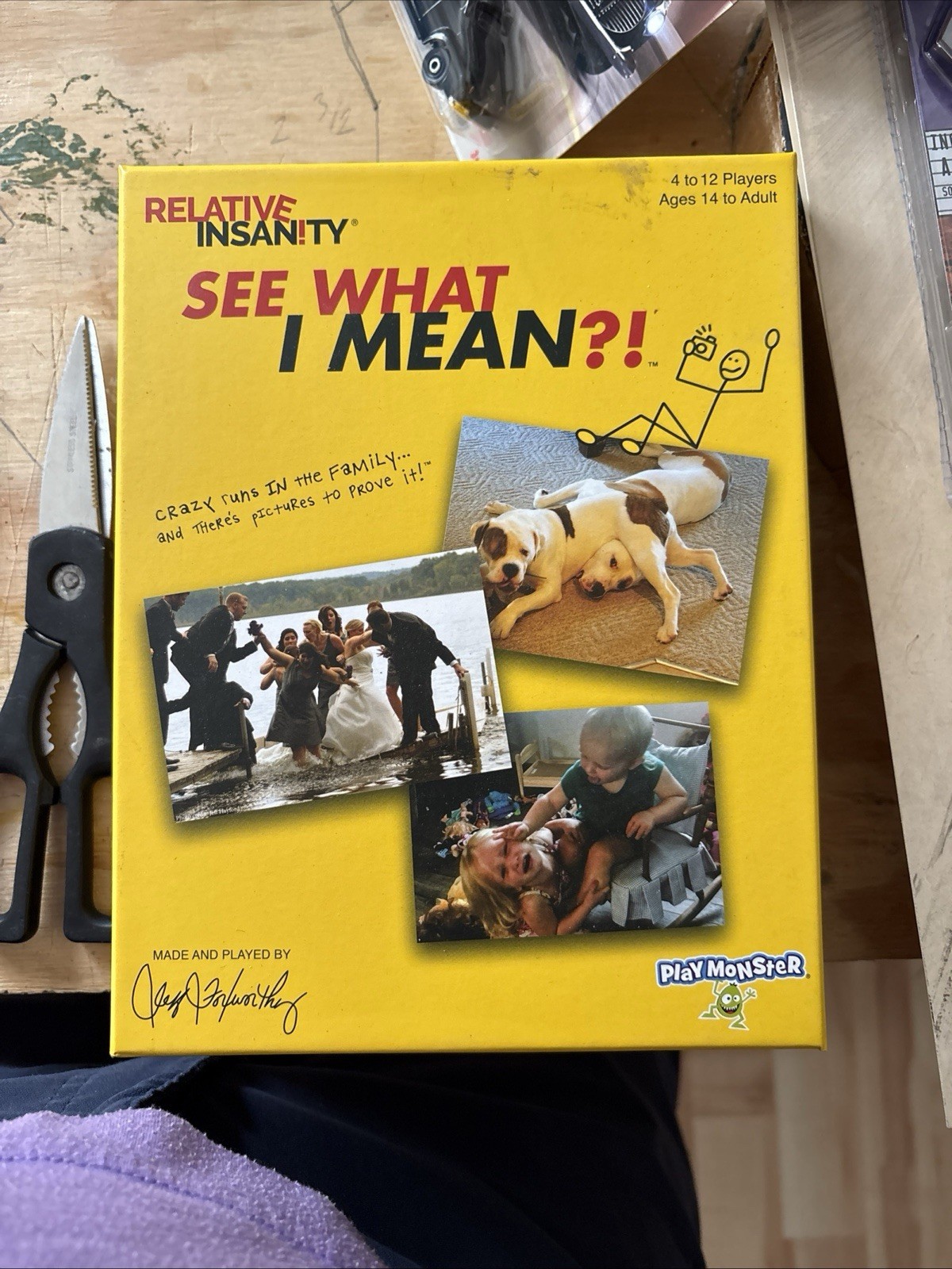 PlayMonster Relative Insanity See What I Mean?! Party Game with Funny Photos