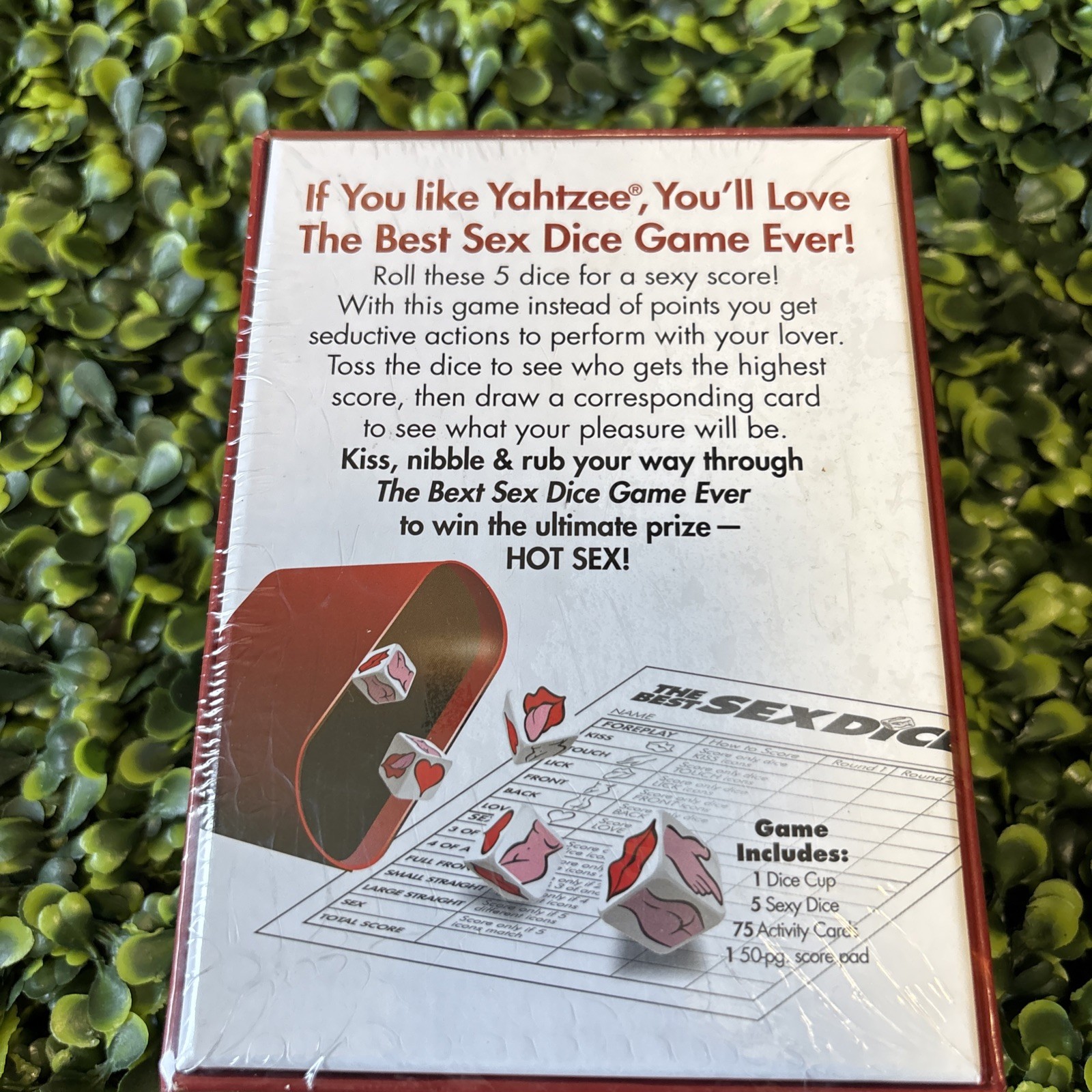 The Best Sex Dice Game Ever