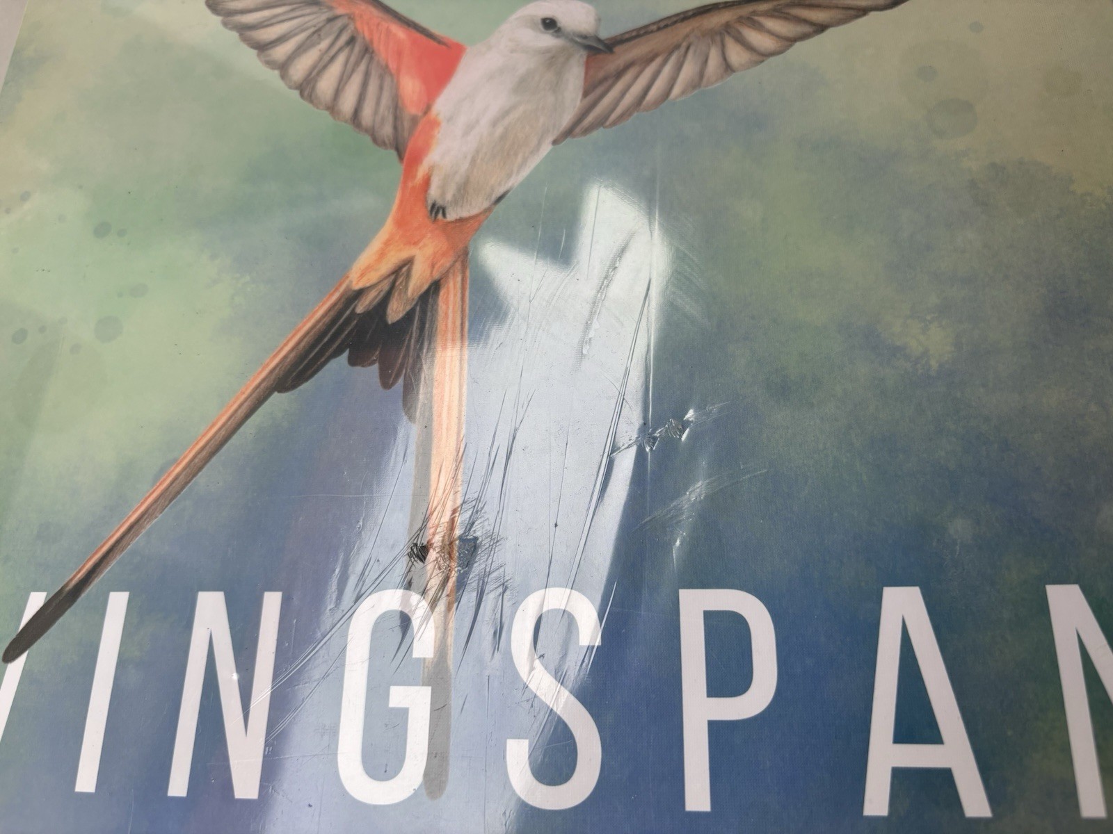 Wingspan Board Game Stonemaier Games Swift Start Pack Included New Sealed