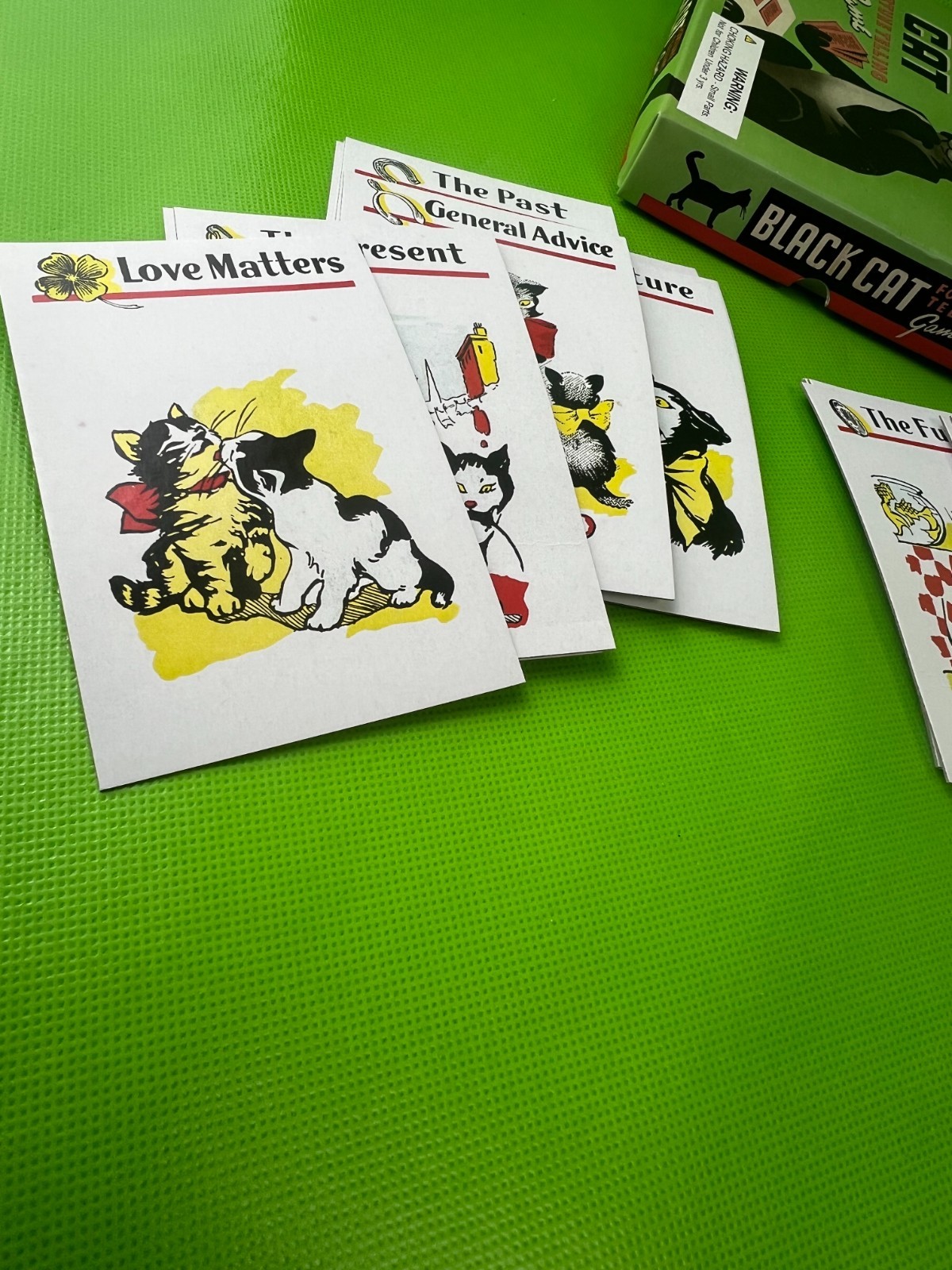 The Black Cat Fortune Telling Game 2015
