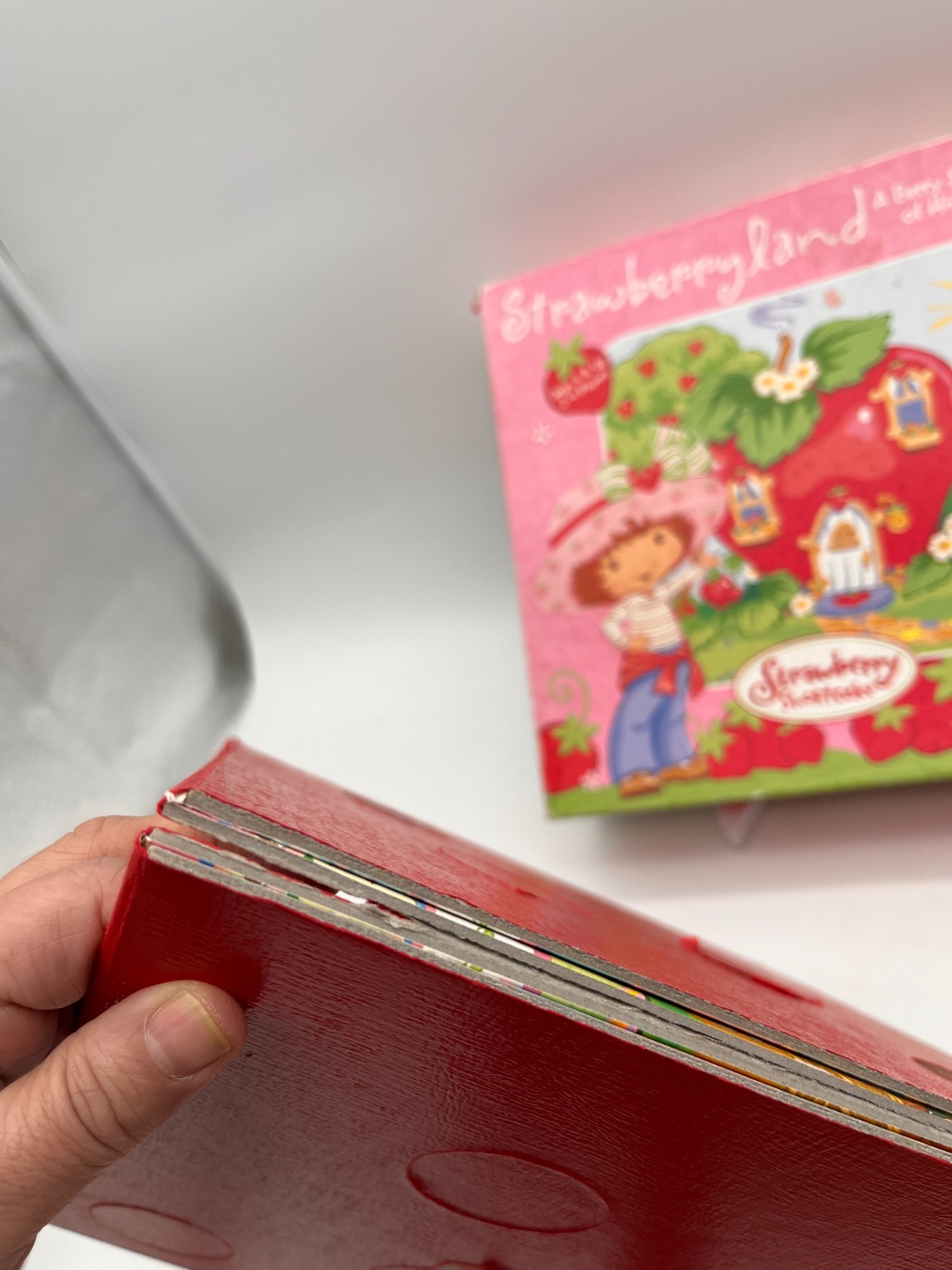 Strawberryland Berry Sweet Game of Hide & Seek Game- Missing 1 token and Manuel