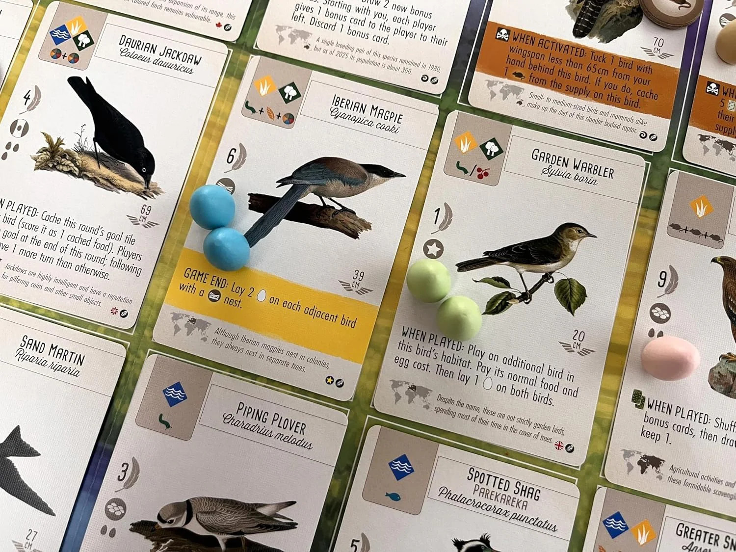 Wingspan – Fan Designed Bird Packs Display Box – 6 Packs [Board Game, 1-5 Player