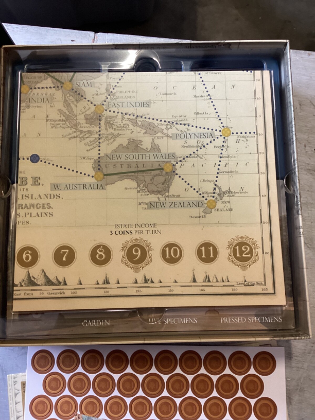 Victorian Botany Game Multicolor Strategy Adventure for 1 to 5 Players