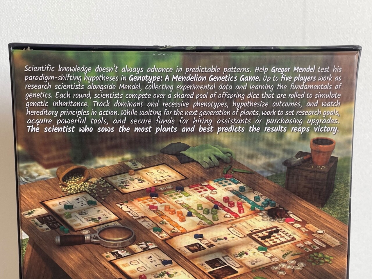 Genotype: A Mendelian Genetics Board Game by Genius games – Mint Condition