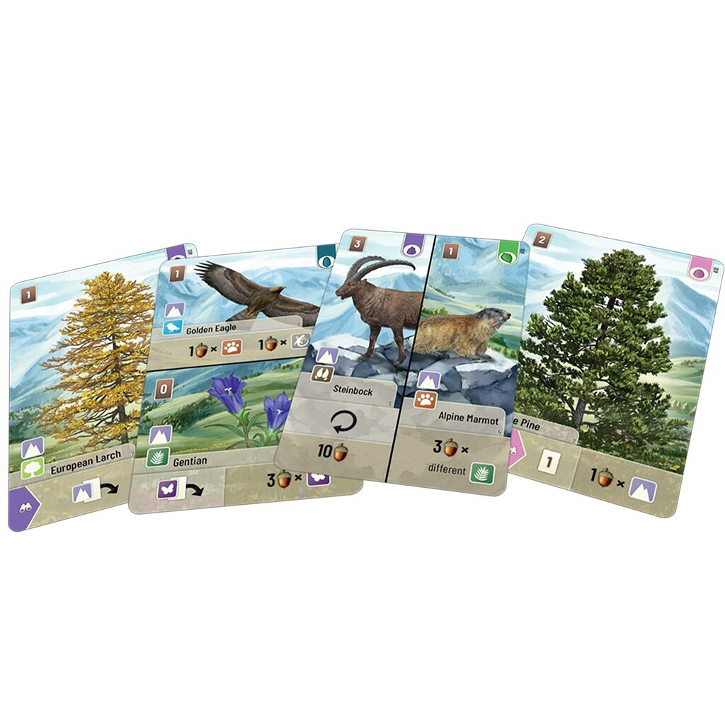 Alpine Expansion Forest Shuffle Card Game Family Nature Lookout Board Animal