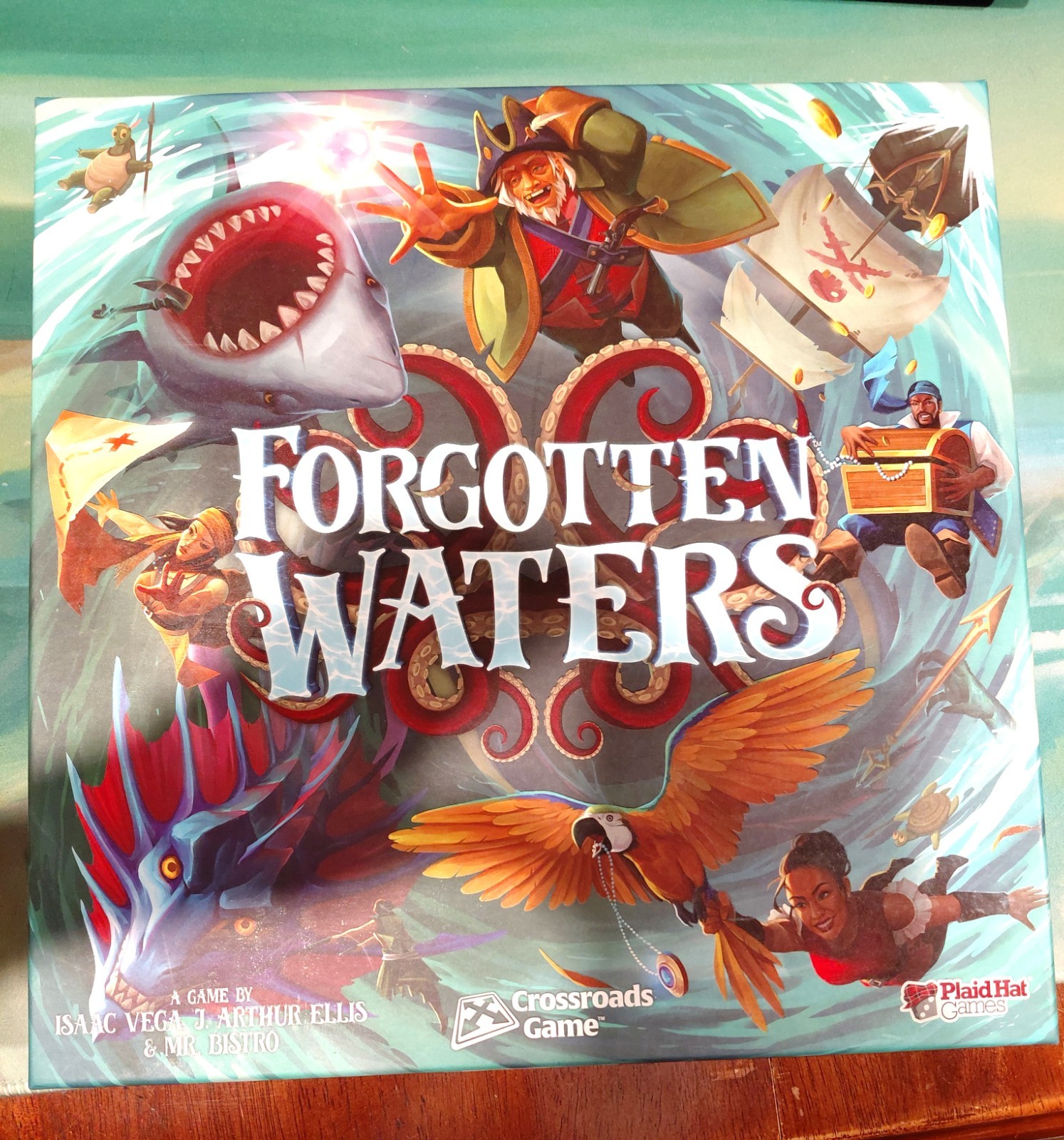 Forgotten Waters Board Game Plaid Hat Pirate Adventure Crossroads (Laminated)