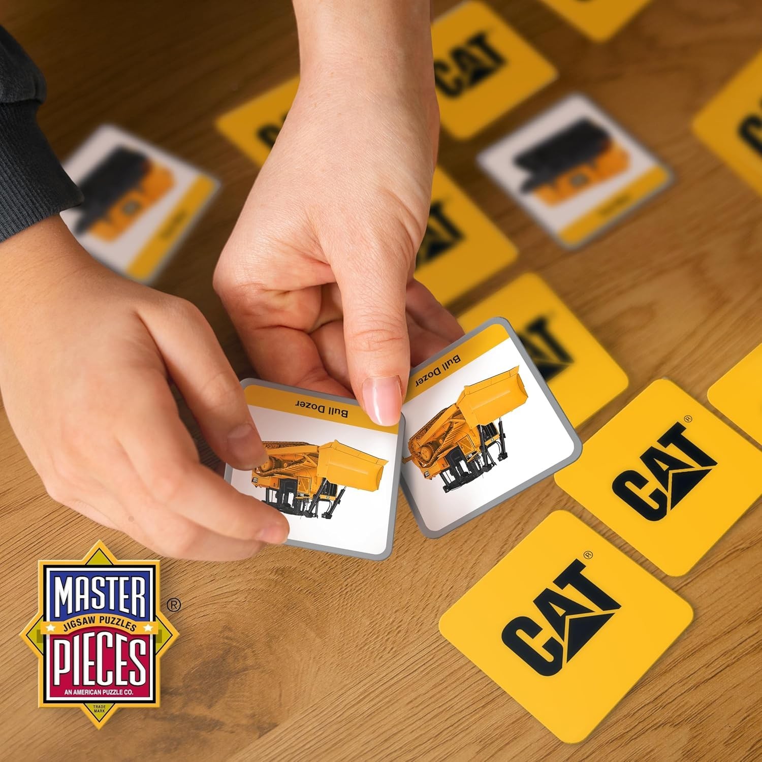Officially Licensed CAT Picture Matching Card Game for Kids and Families
