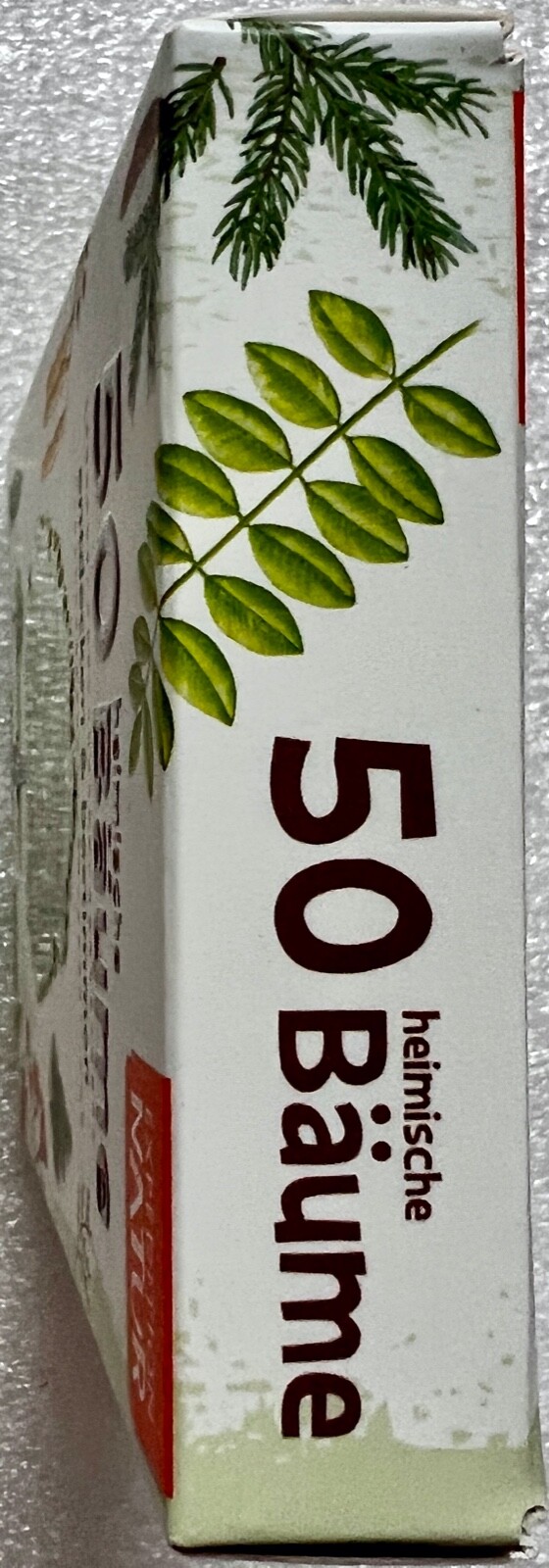50 Native Trees Expedition Nature Moses Kids Educational Card Game Quiz Game