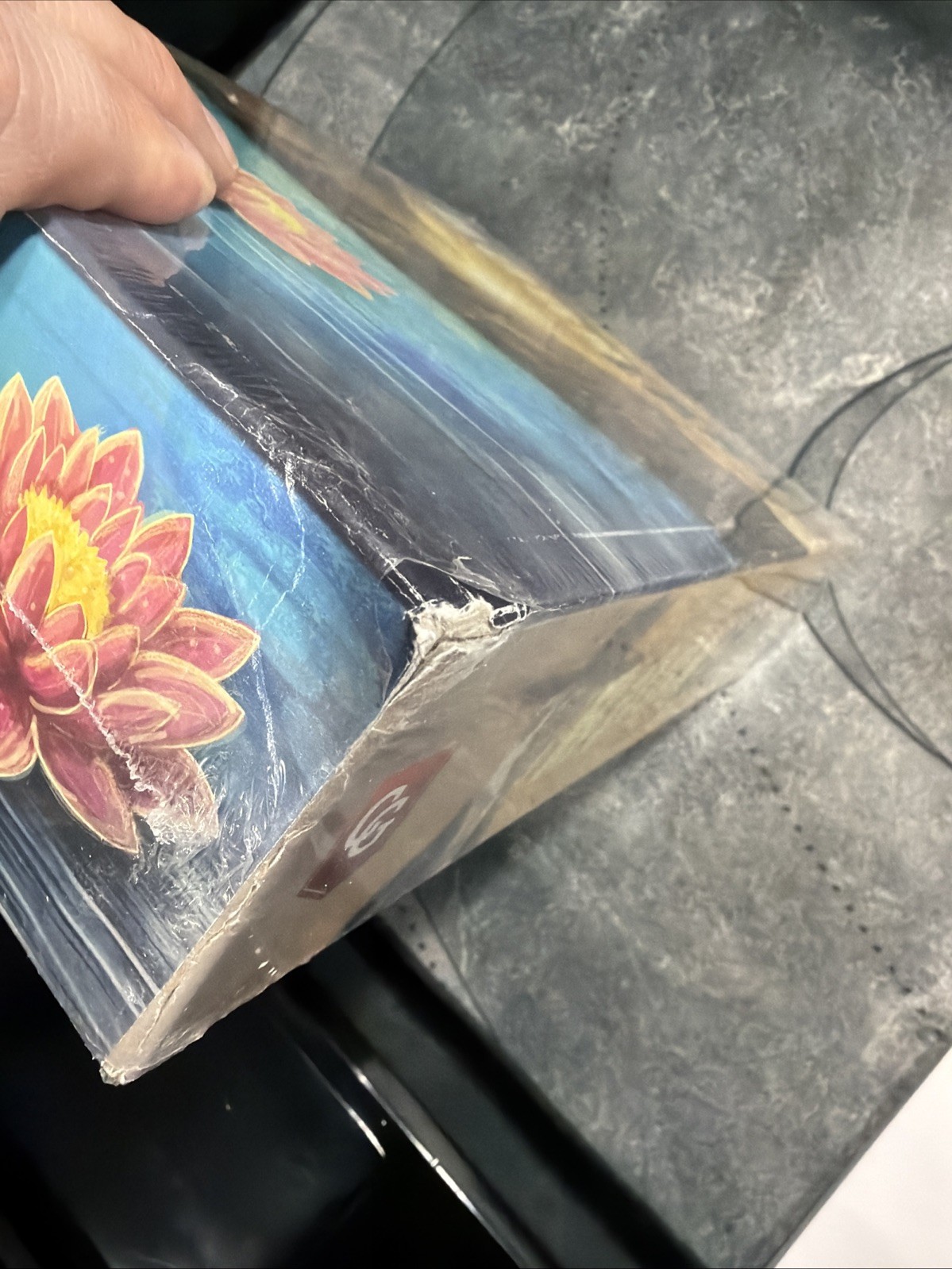 Boonlake Board Game, Alexander Pfister, Capstone Games. NEW Damaged Box.