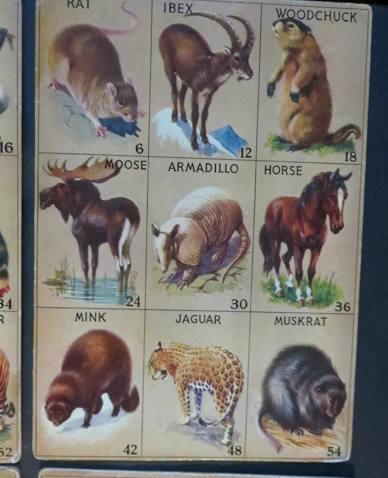 1932 Vintage Animal Lotto Samuel Gabriel & Sons , NY 6 Boards Only