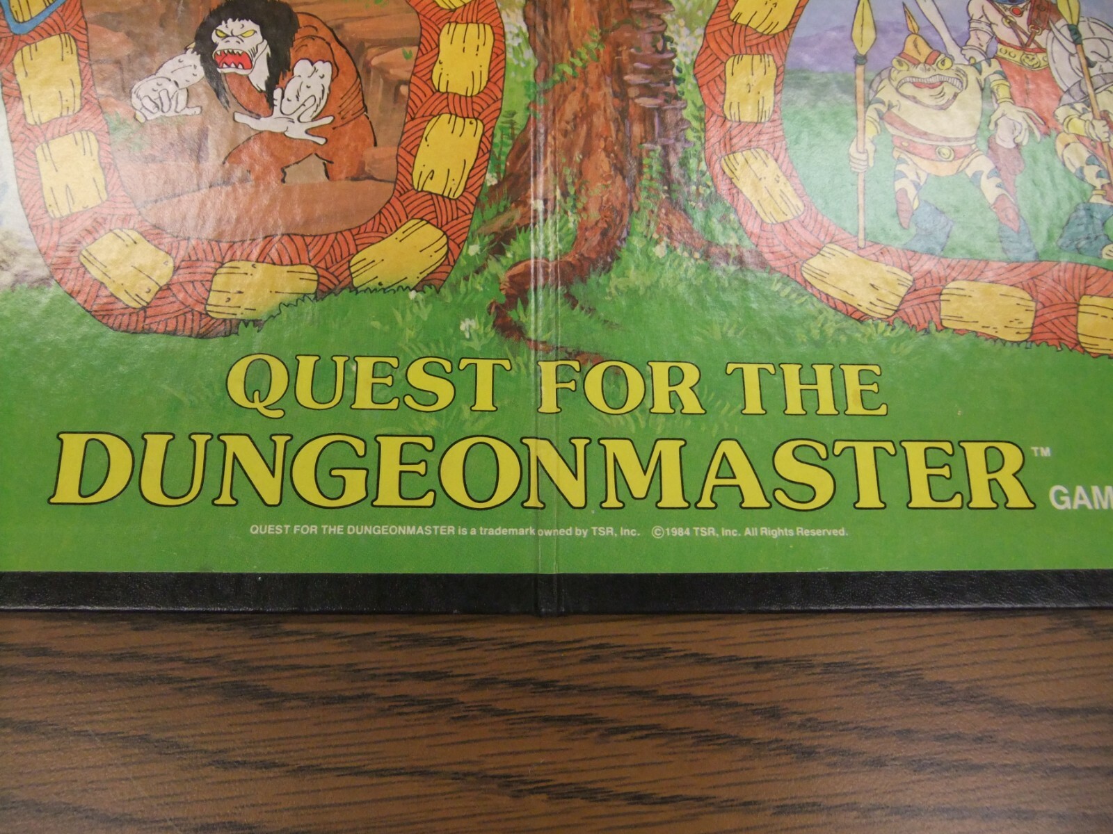 Quest For The Dungeonmaster Game 1984 Board Game TSR 1016XXX7401, Board ONLY, EX