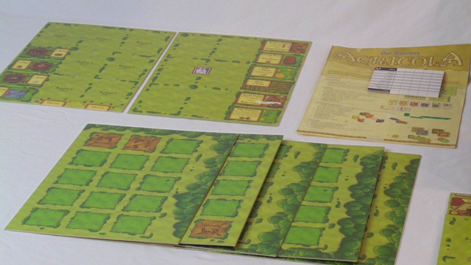 Agricola Z-Man Games Uwe Rosenberg Board Game Complete w/ 3D Insert