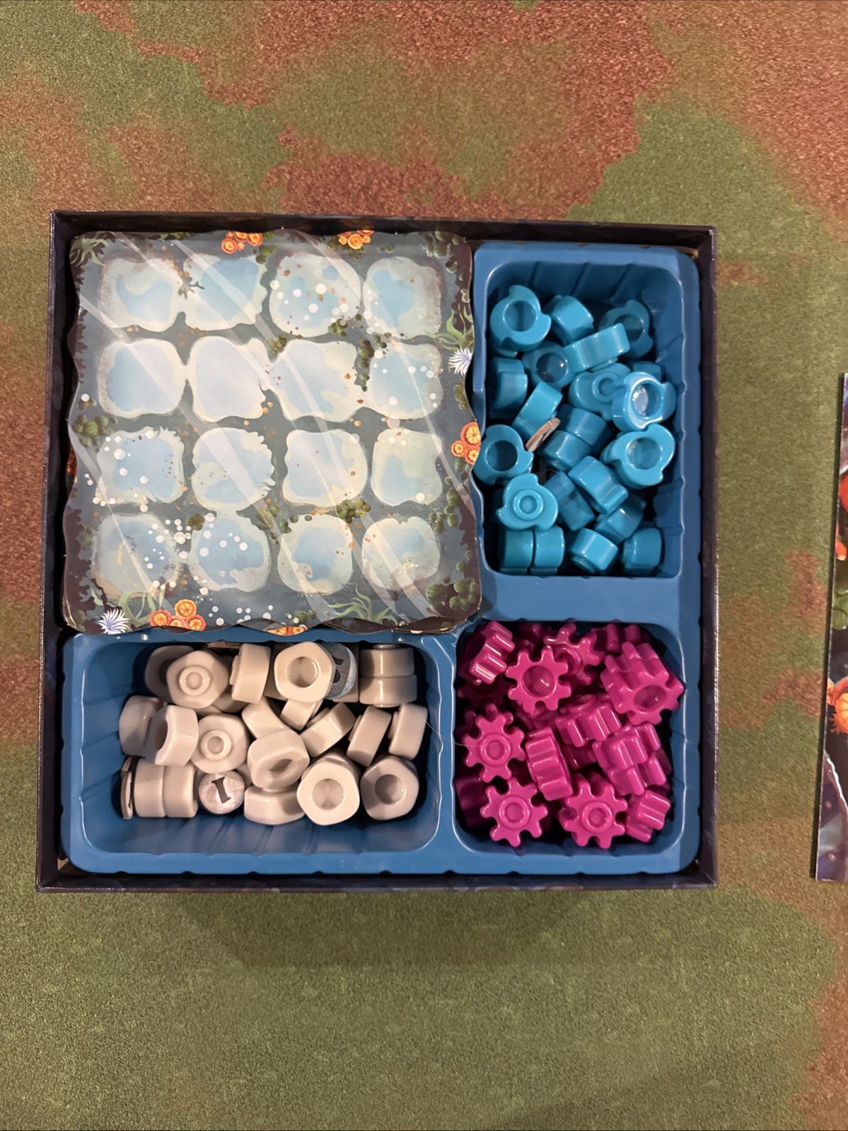 Reef Board Game Second Edition Plan B Next Move Games 2020