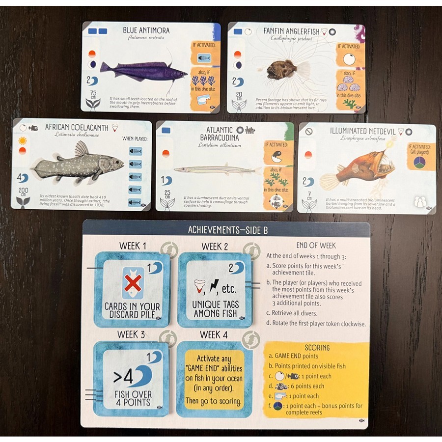Finspan: Sharks & Reefs Expansion Board Game by Stonemaier