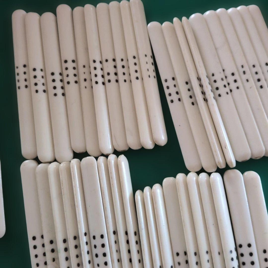 Mahjong Tile Set Bamboo Back Purple Hard Case