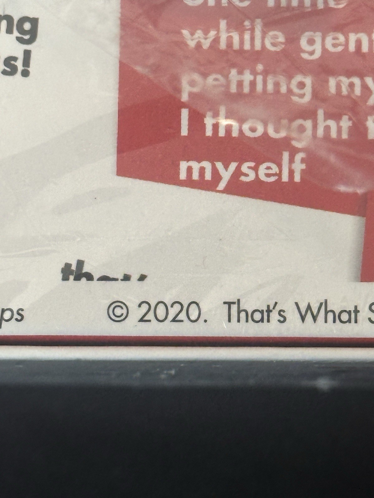2020 Adult Party Game “That’s What She Said” – Ages 17+