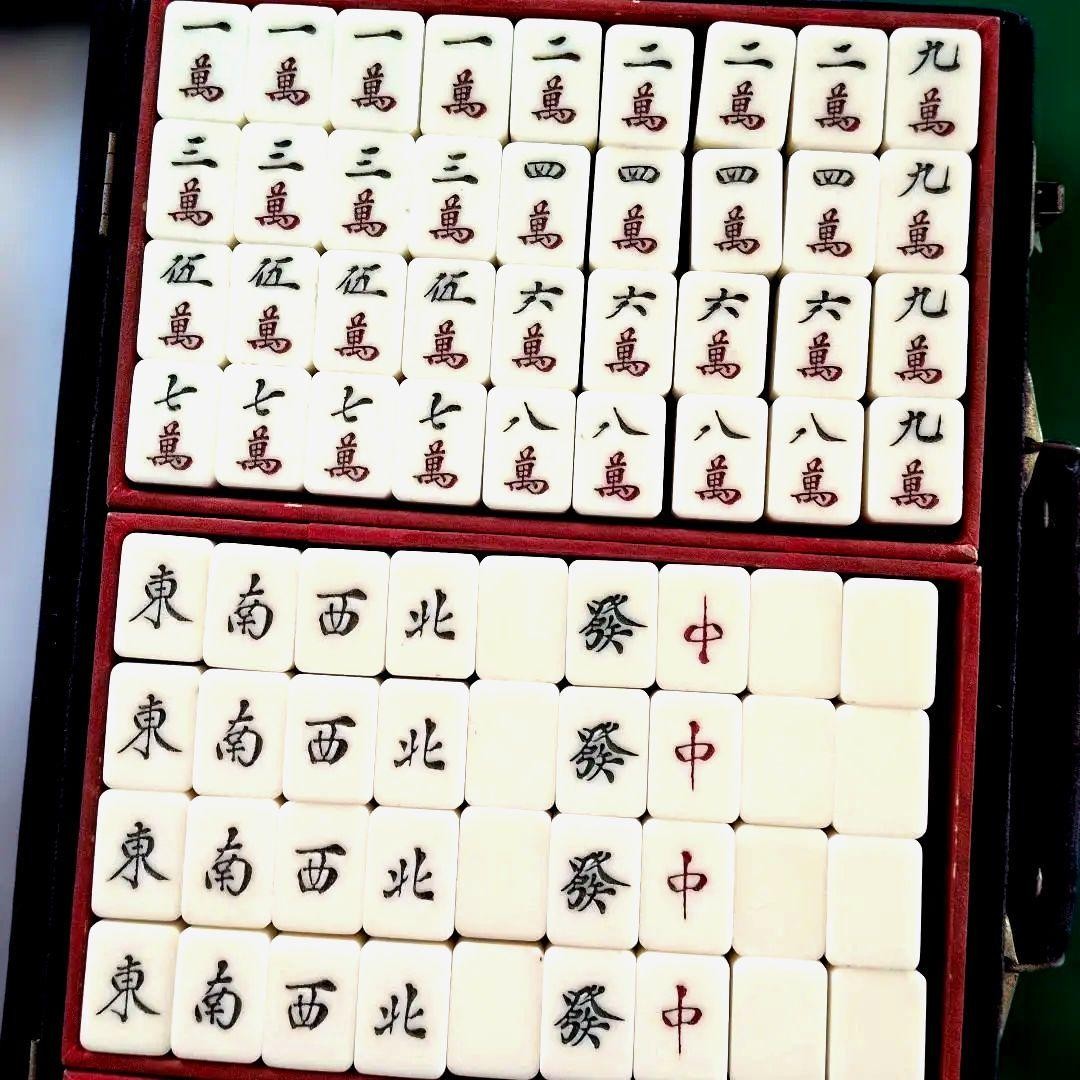 Mahjong Tile Set Bamboo Back Purple Hard Case