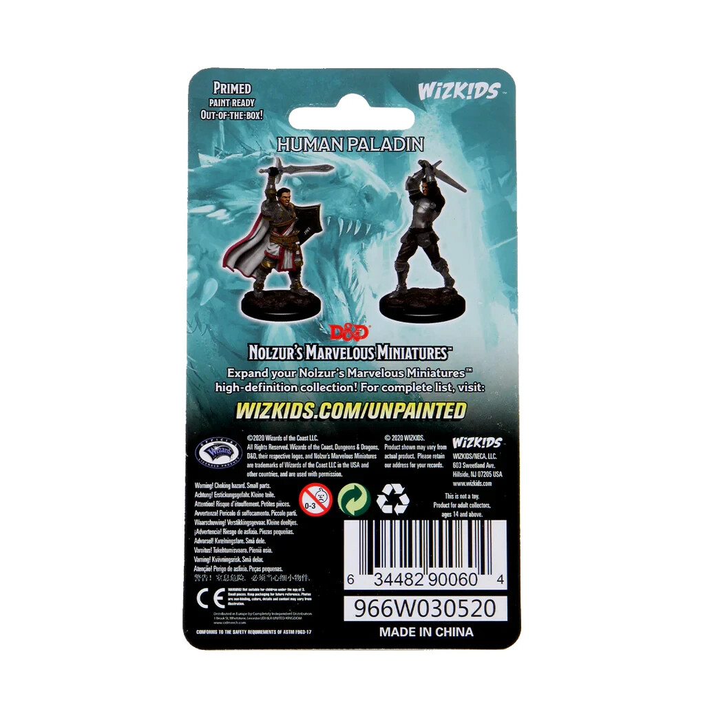 DUNGEONS & DRAGONS MARVELOUS MINIATURES ~ HUMAN MALE PALADIN