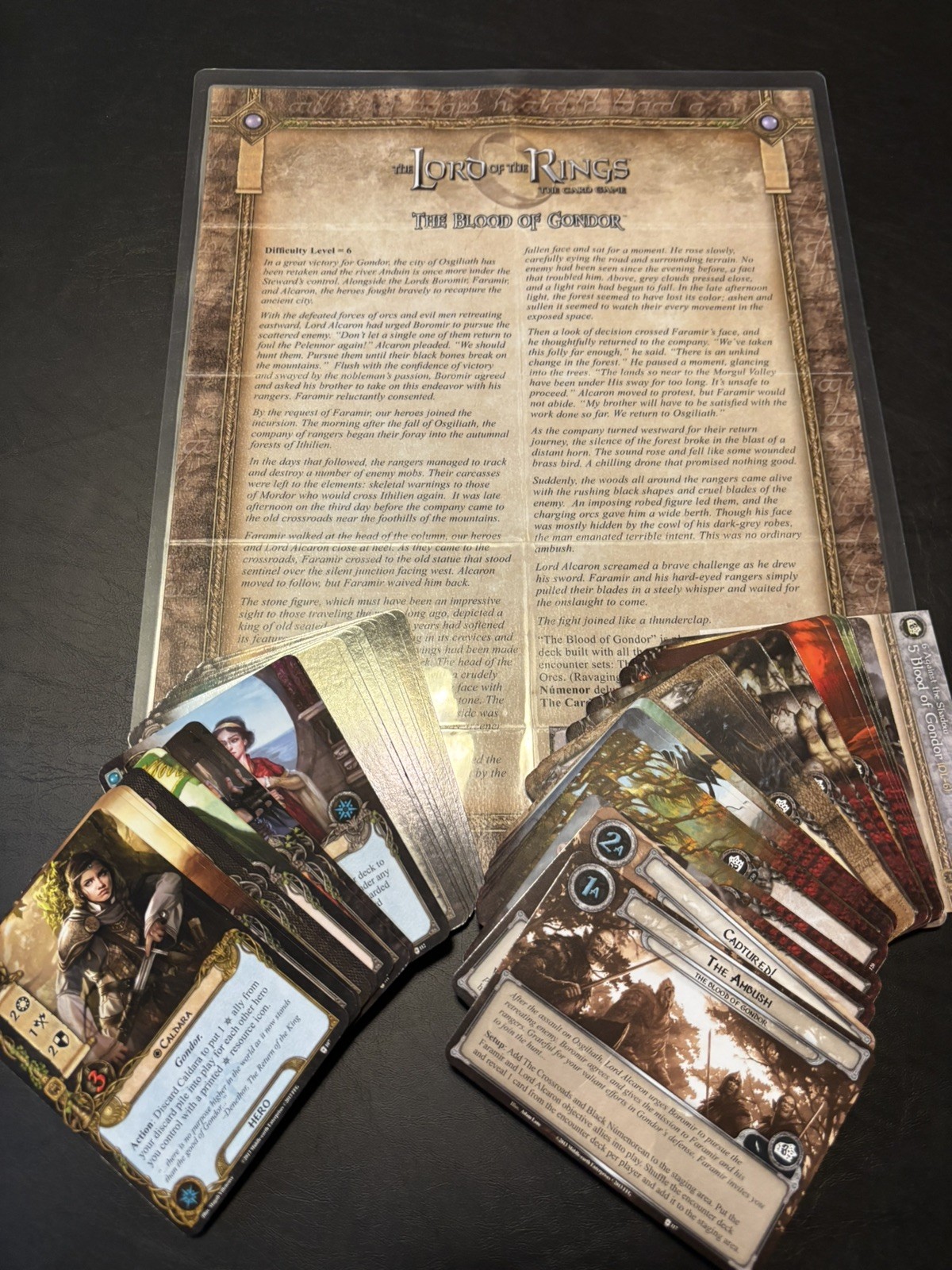 Lord of the Rings LCG – Complete Against the Shadow Cycle, Expansion + 6 APs