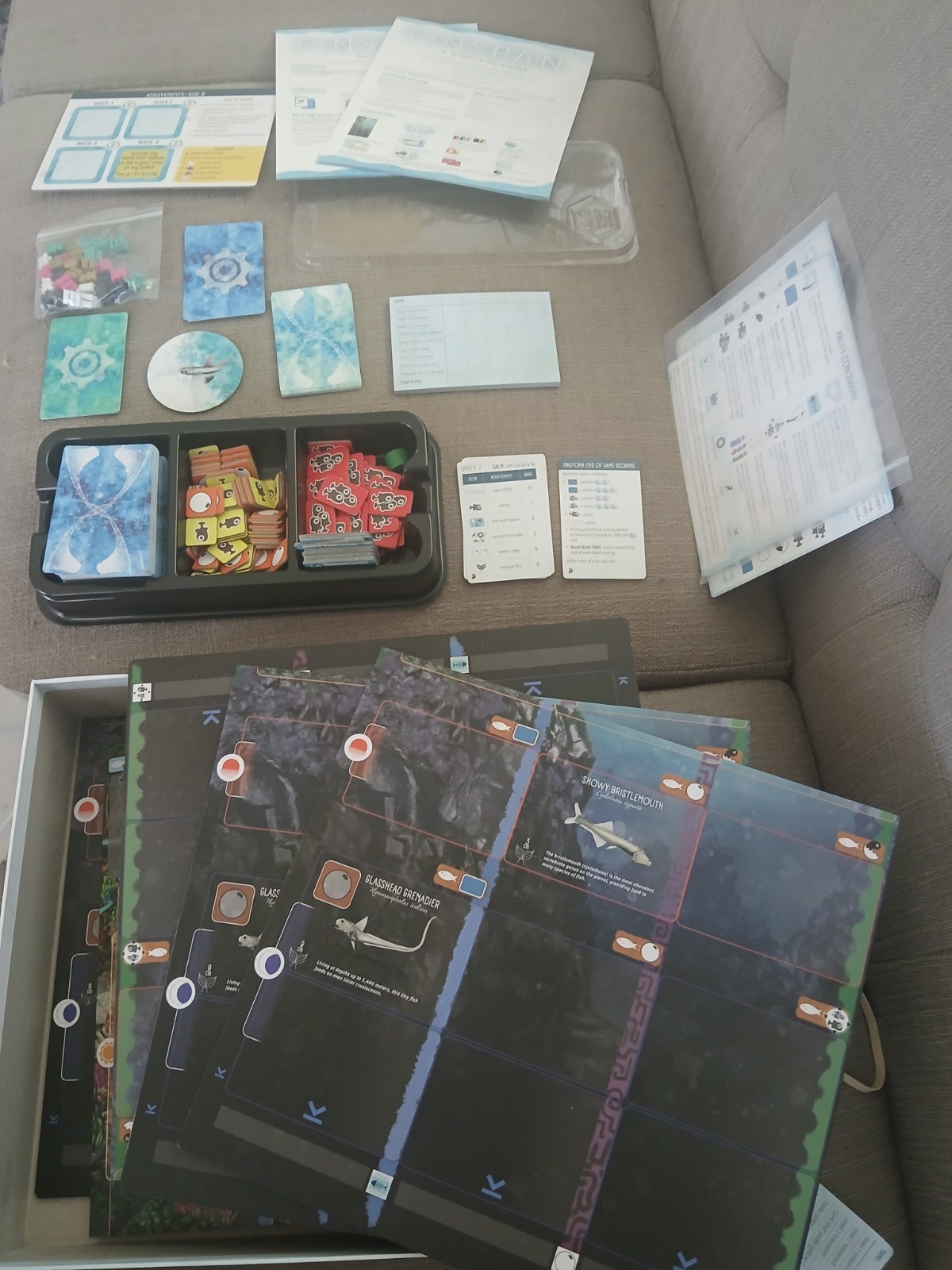 Finspan Board Game by Stonemaier
