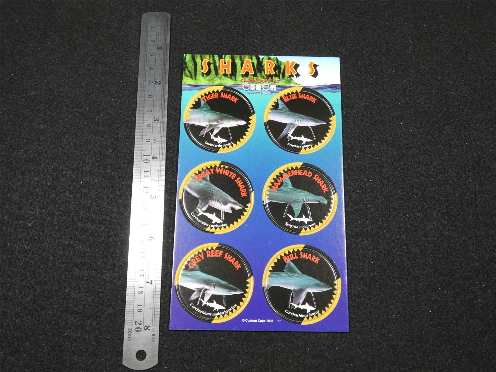 Lot 4 Sheet Card Caps Custom Caps Pogs Hawaiian Sharks Whales Dolphins Dinosaurs