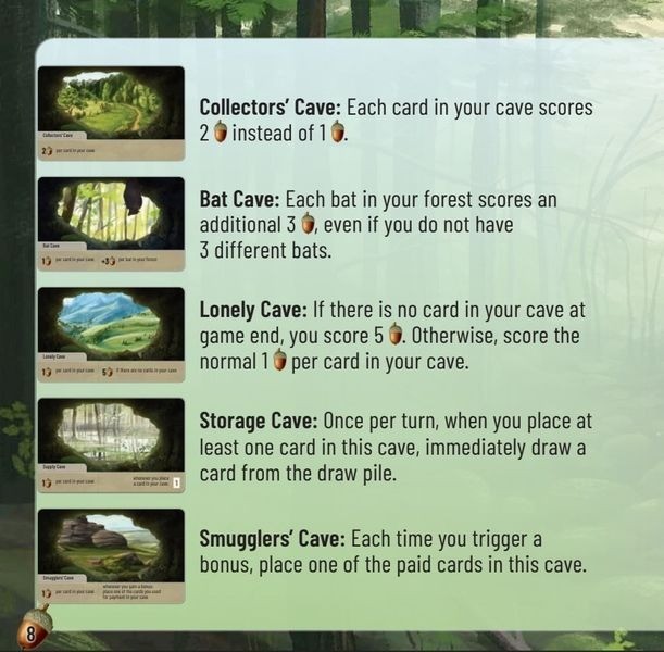 LOOKOUT GAMES Forest Shuffle Expansion Exploration (English) 2025