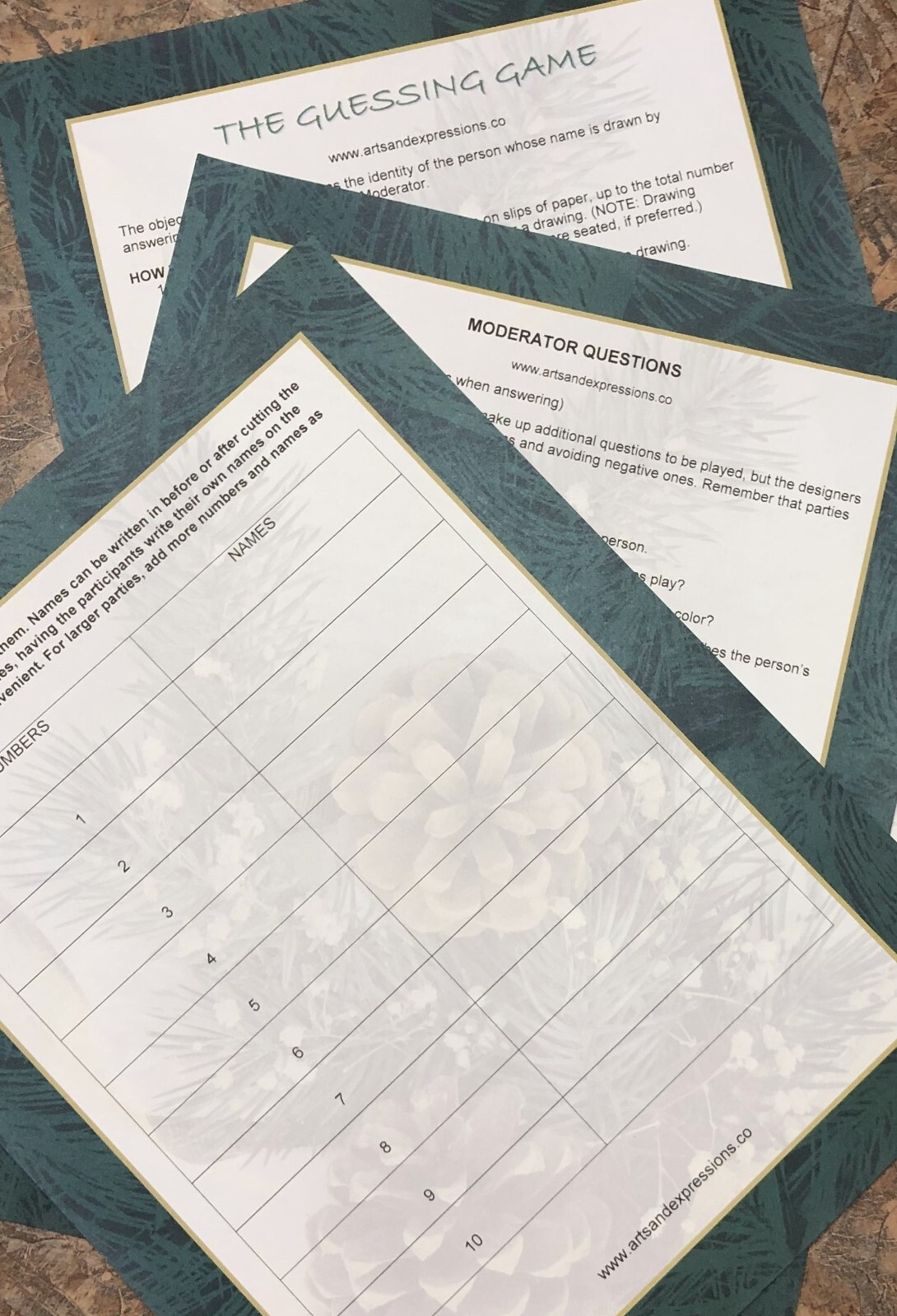 “The Guessing Game” Interactive Party Game – Adults Kids Children