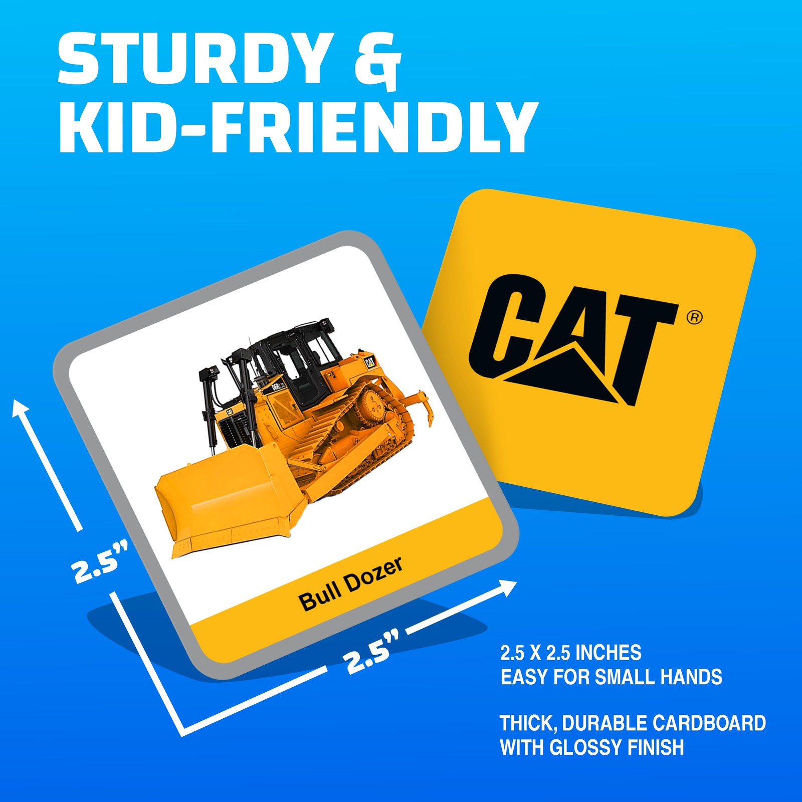 Officially Licensed CAT Picture Matching Card Game for Kids and Families