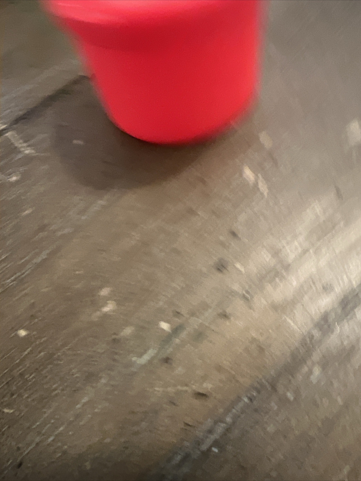 POG Officially Licensed Milkcap Container Never Used Small Size Various Colors