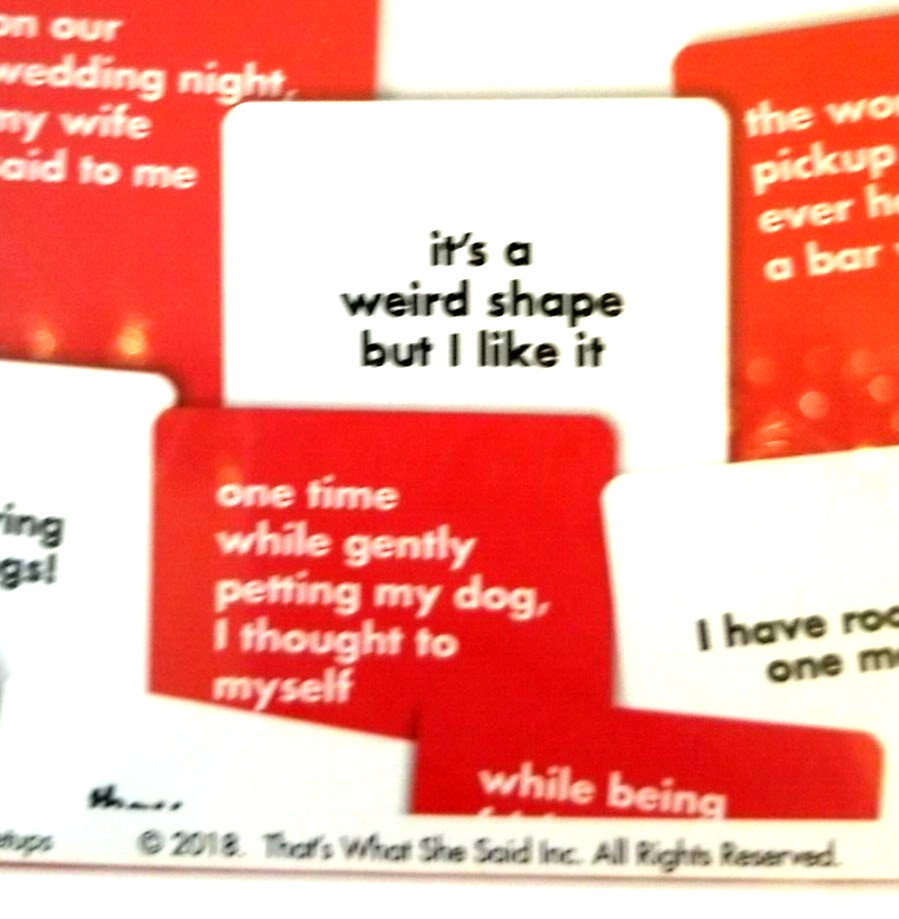 That’s What She Said Card Party Game 400 Phrase Cards 58 Setup Cards 2018
