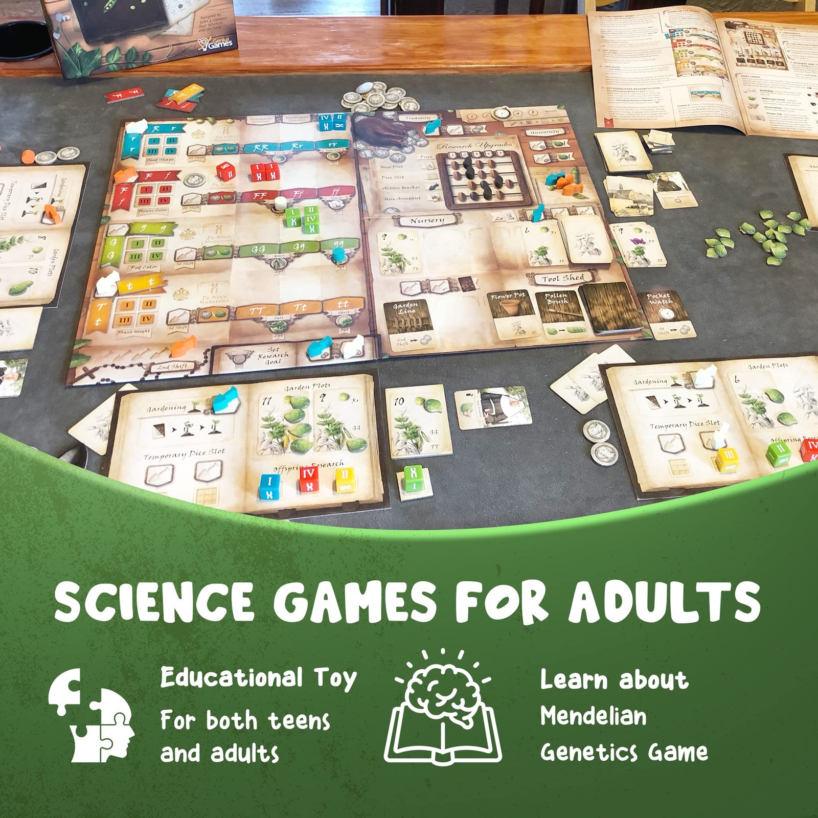Genotype: Mensa Award Winning Genetics Board Game about Mendel’s Pea Plants