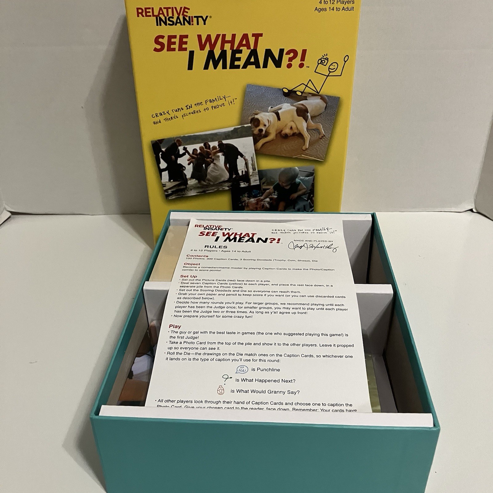 Relative Insanity See What I Mean? 2019 Complete in Box Family Game Night