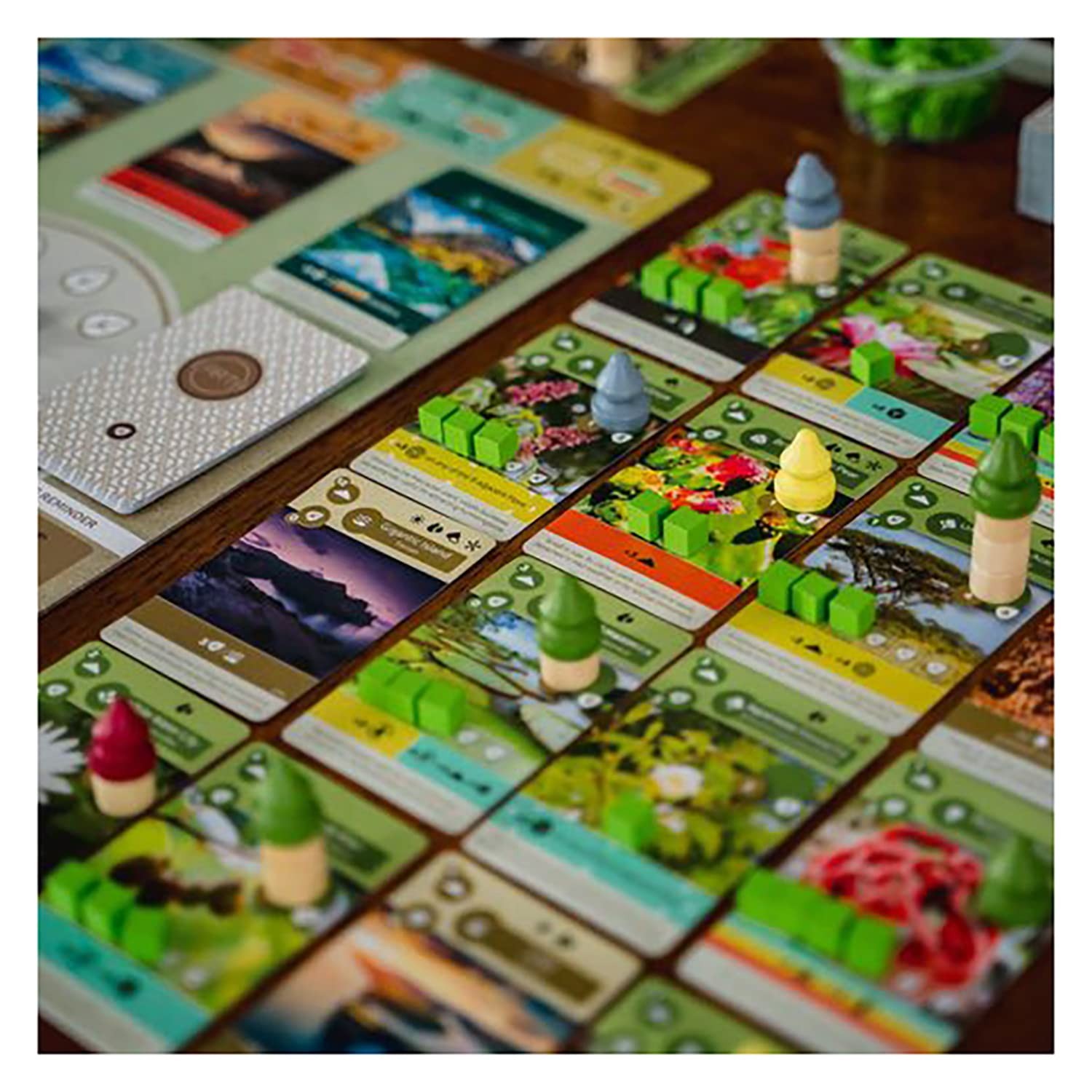 Inside Up Games Game Of The Year Building Card Drafting Action Amazing Natural
