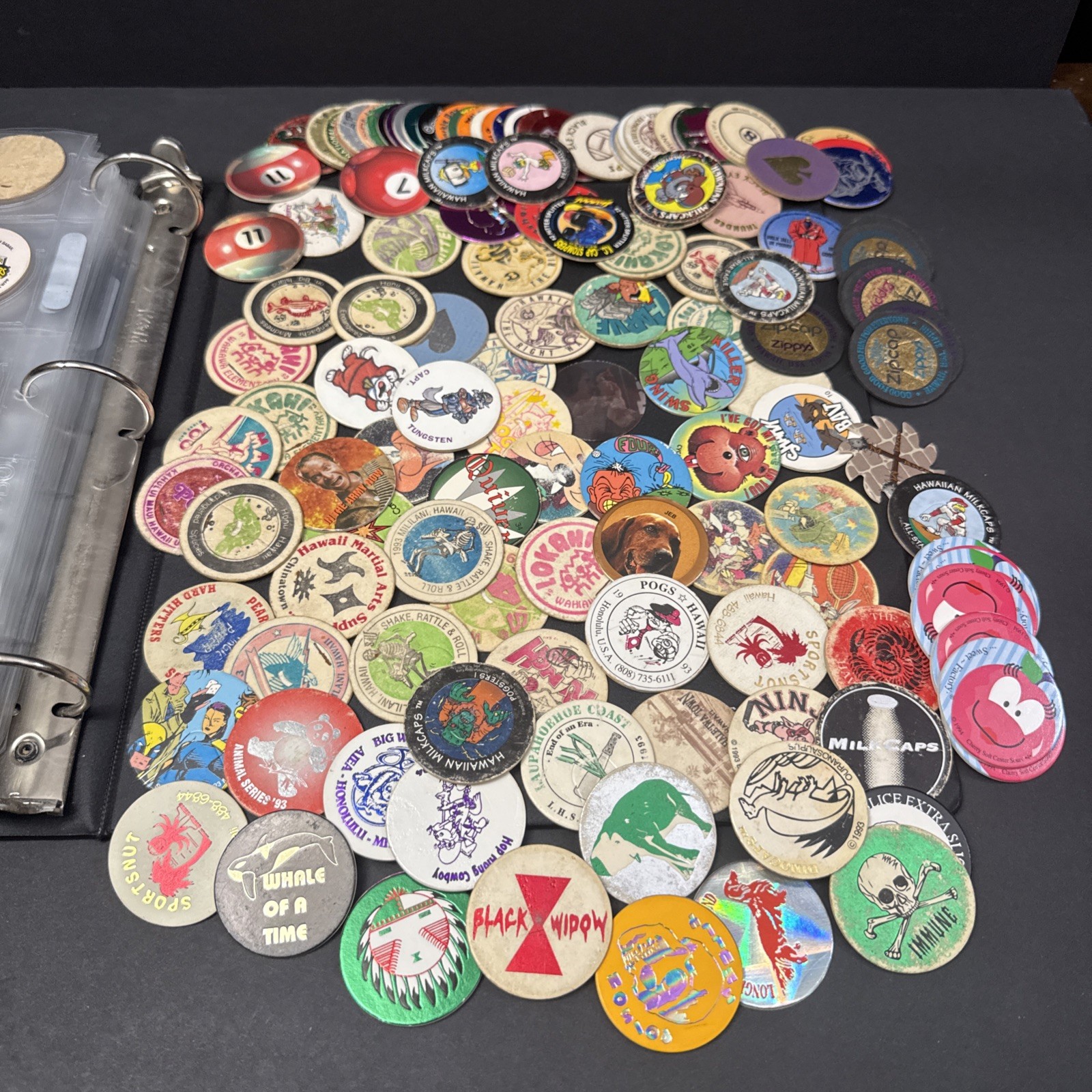 Vintage 1990s-2000s POG Collection Binder Over 400 pcs With Various Designs-READ