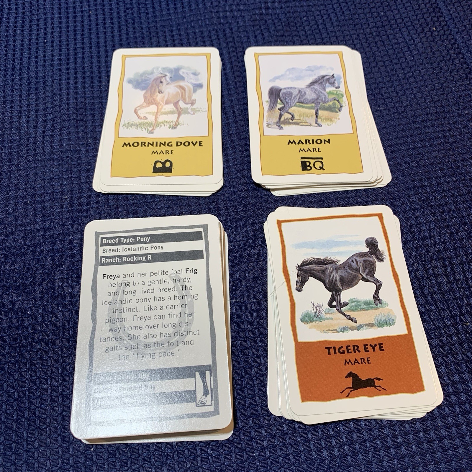 HERD YOUR HORSES – VINTAGE BOARD GAME – 100% COMPLETE – 2002 -Free Shipping