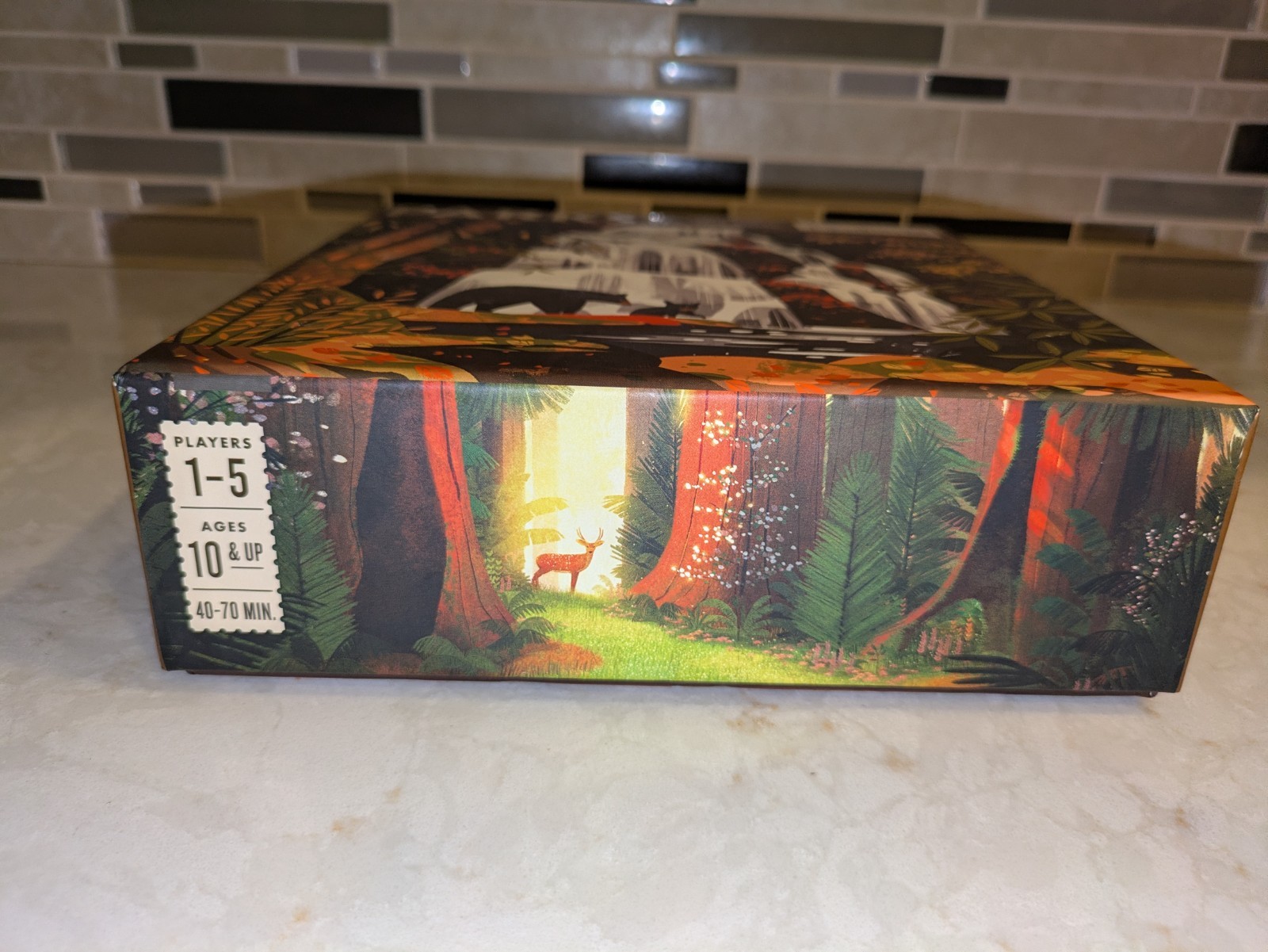 100% Complete Parks 1st Edition Board Game by Keymaster Games (KYM0501)