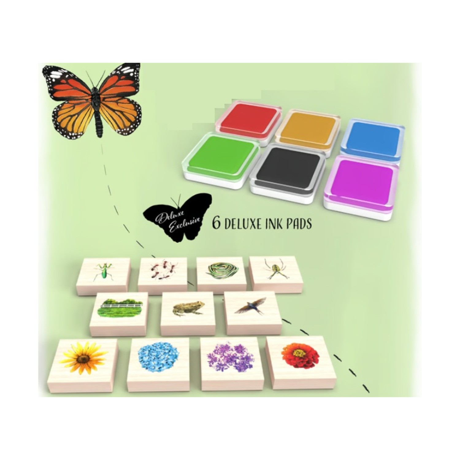 Kolossal Papillon Gardens (Deluxe Ed) Box EX/NM