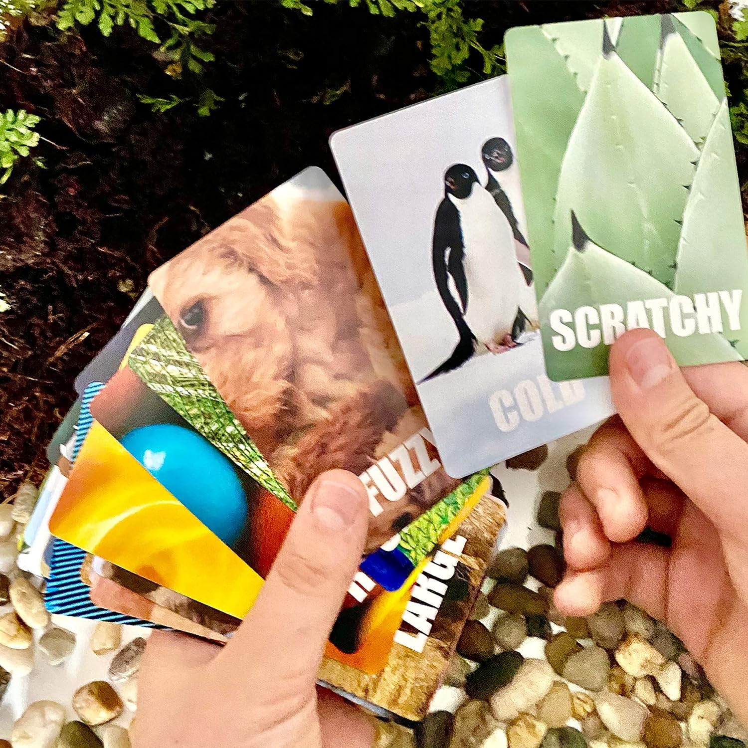 Find and Seek Scavenger Hunt Card Game, Indoor Outdoor Activities for Kids Toddl