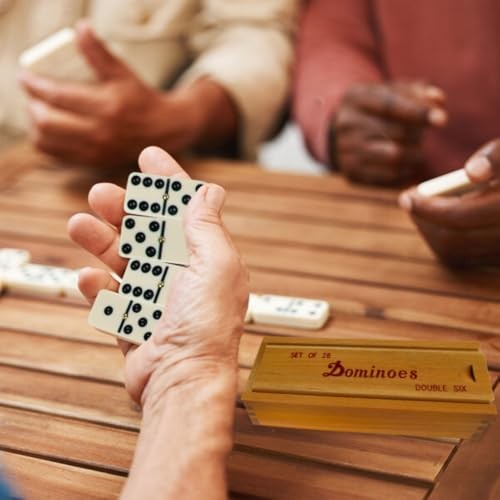 GENERIC PREMIUM SET OF 28 DOUBLE SIX DOMINOES WITH WOOD CASE, BROWN