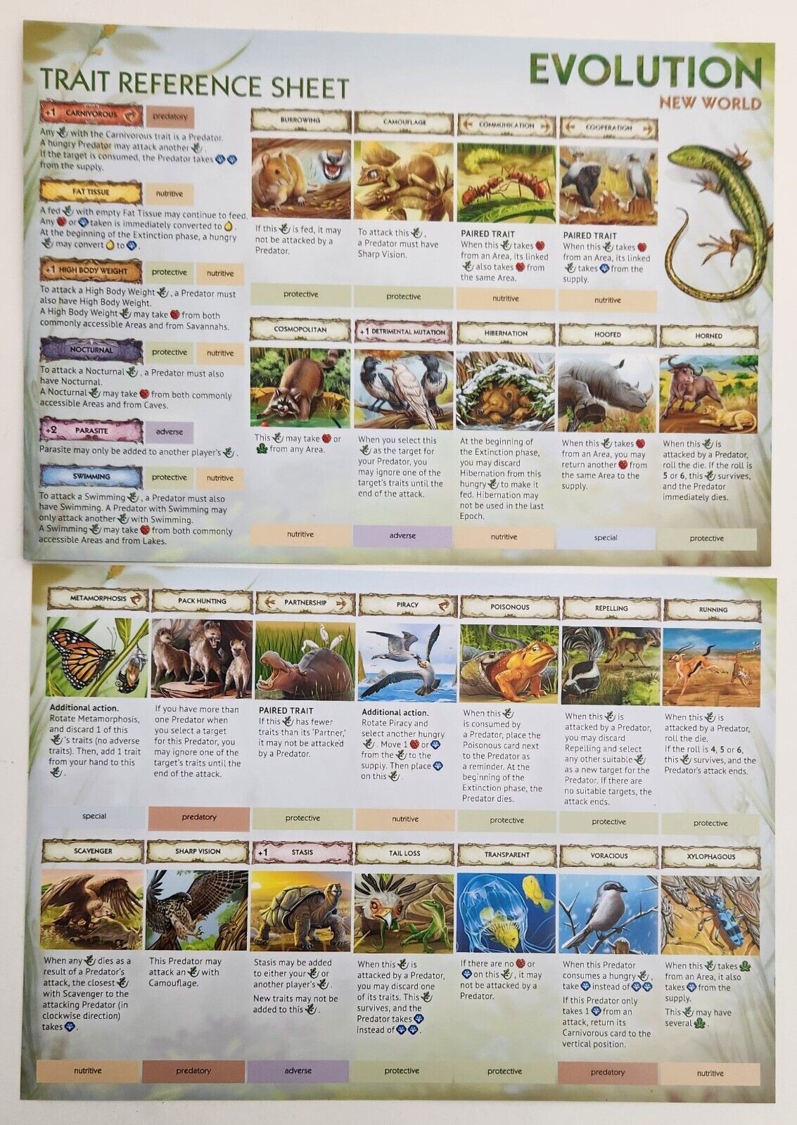 Evolution New World Base Game 2023 by CrowD Games SEALED