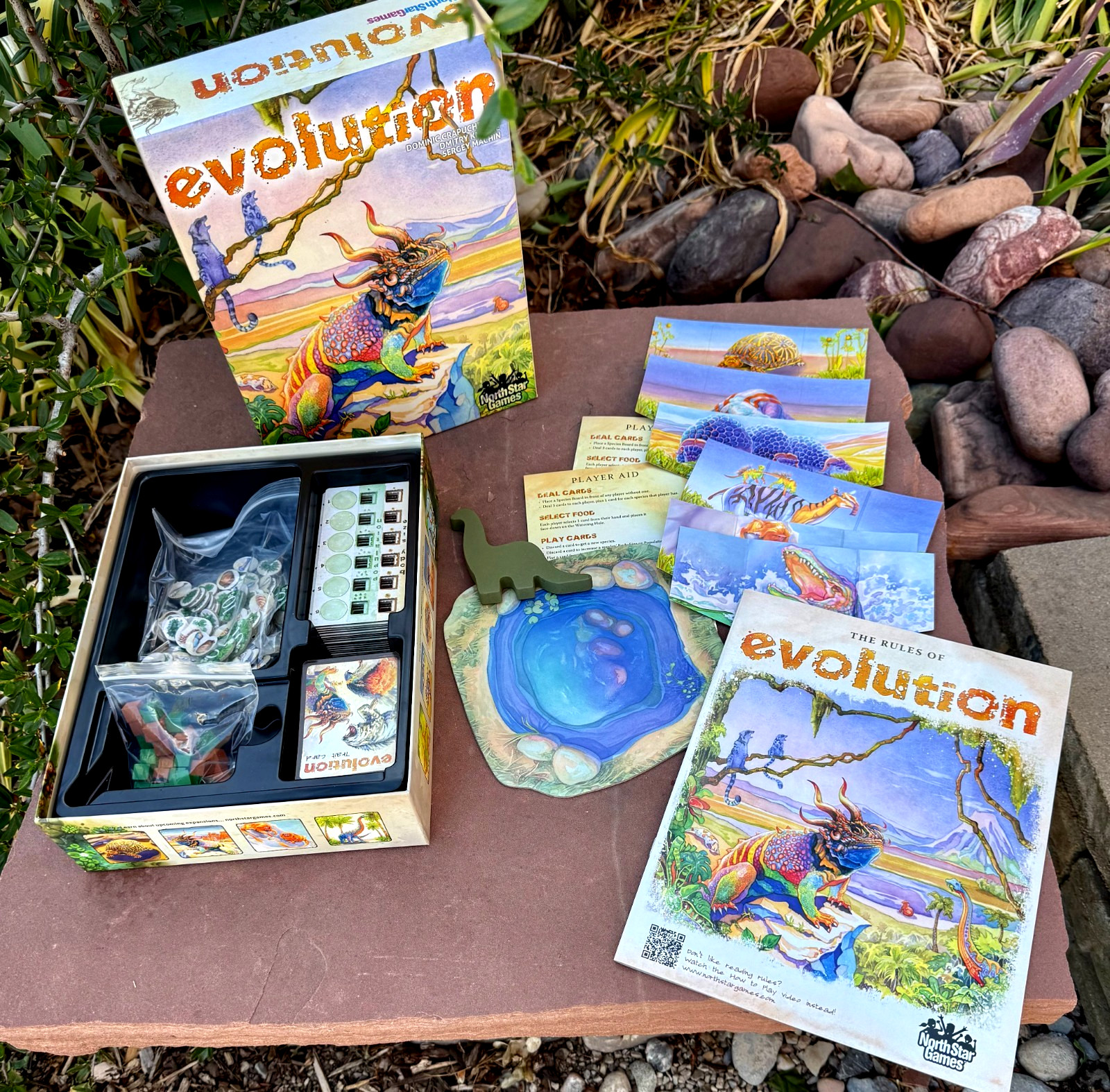 Evolution Board Game North Star Games Science Education Complete Nice Open Box