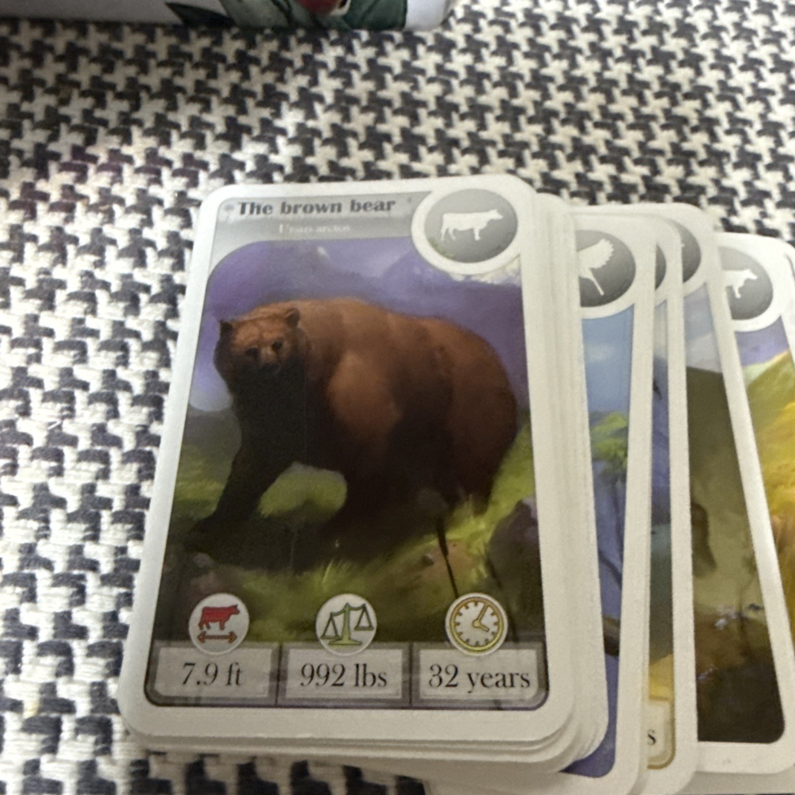 Cardline: Animals by Asmodee 2013 Complete Card Game Bombyx 100% Complete